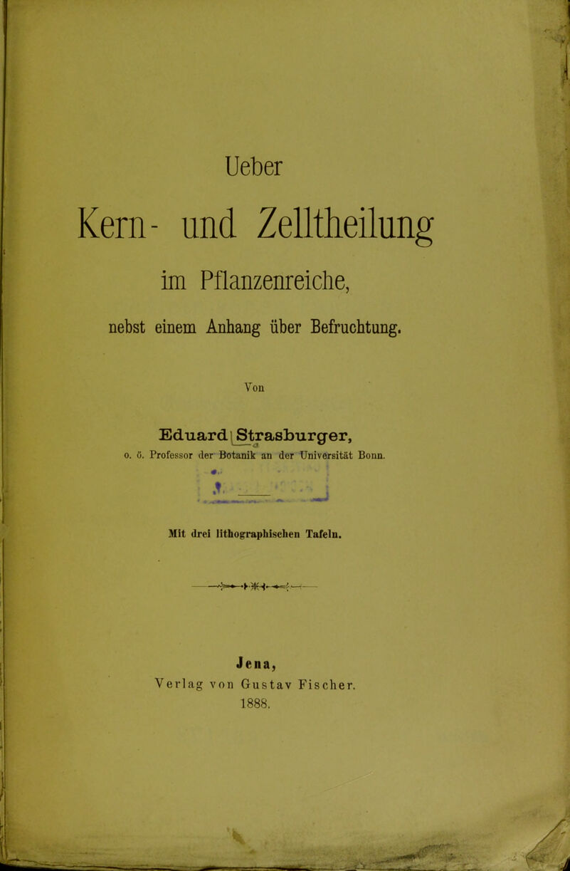 Ueber Kern- und Zelltheilung im Pflanzenreiche, nebst einem Anhang über Befruchtung. Von Eduard \ Strasburger, 0. ö. Professor der Botanik an der Universität Bonn. Mit drei lithographischen Tafeln. Jena, Verlag von Gustav Fischer. 1888. Sri*! '.y