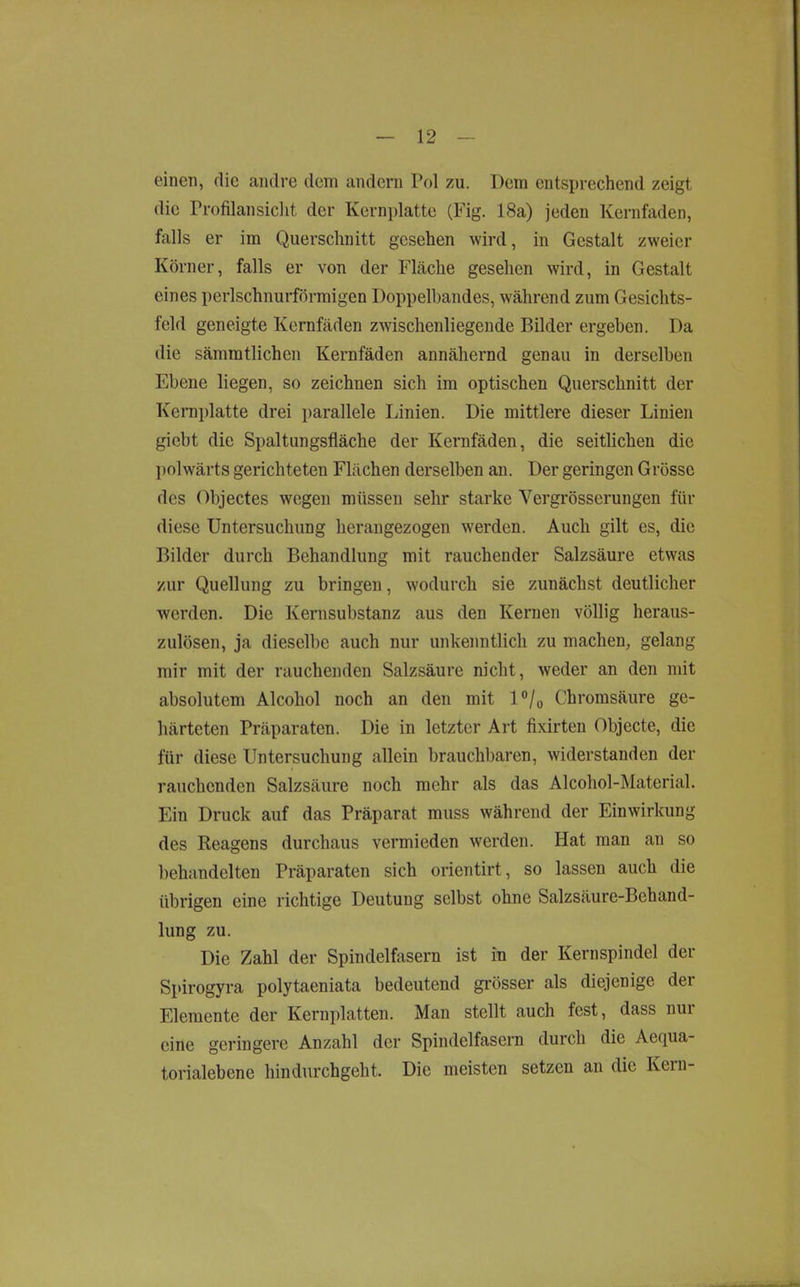 einen, die andre dem andern Pol zu. Dem entsprechend zeigt die Profilansiclit der Kernplatte (Fig. 18a) jeden Kernfaden, falls er im Querschnitt gesehen wird, in Gestalt zweier Körner, falls er von der Fläche gesehen wird, in Gestalt eines perlschnurförmigen Doppelbandes, w'ährend zum Gesichts- feld geneigte Kernfäden zwischenliegende Bilder ergeben. Da die sämmtlichen Kernfäden annähernd genau in derselben Ebene liegen, so zeichnen sich im optischen Querschnitt der Kernplatte drei parallele Linien. Die mittlere dieser Linien giebt die Spaltungsfläche der Kernfäden, die seitlichen die polwärts gerichteten Flächen derselben an. Der geringen Grösse des Objectes wegen müssen sehr starke Vergrösserungen für diese Untersuchung herangezogen w'erden. Auch gilt es, die Bilder durch Behandlung mit rauchender Salzsäure etwas zur Quellung zu bringen, wodurch sie zunächst deutlicher werden. Die Kernsubstanz aus den Kernen völlig heraus- zulösen, ja dieselbe auch nur unkenntlich zu machen, gelang mir mit der rauchenden Salzsäure nicht, weder an den mit absolutem Alcohol noch an den mit l°/o Chromsäure ge- härteten Präparaten. Die in letzter Art fixirten Objecte, die für diese Untersuchung allein brauchbaren, widerstanden der rauchenden Salzsäure noch mehr als das Alcohol-Material. Ein Druck auf das Präparat muss während der Einwirkung des Reagens durchaus vermieden werden. Hat man an so behandelten Präparaten sich orientirt, so lassen auch die übrigen eine richtige Deutung selbst ohne Salzsäure-Behand- lung zu. Die Zahl der Spindelfasern ist in der Kernspindel der Spirogyra polytaeniata bedeutend grösser als diejenige der Elemente der Kernplatten. Man stellt auch fest, dass nur eine geringere Anzahl der Spindelfasern durch die Aequa- torialebene hindurchgeht. Die meisten setzen an die Kern-