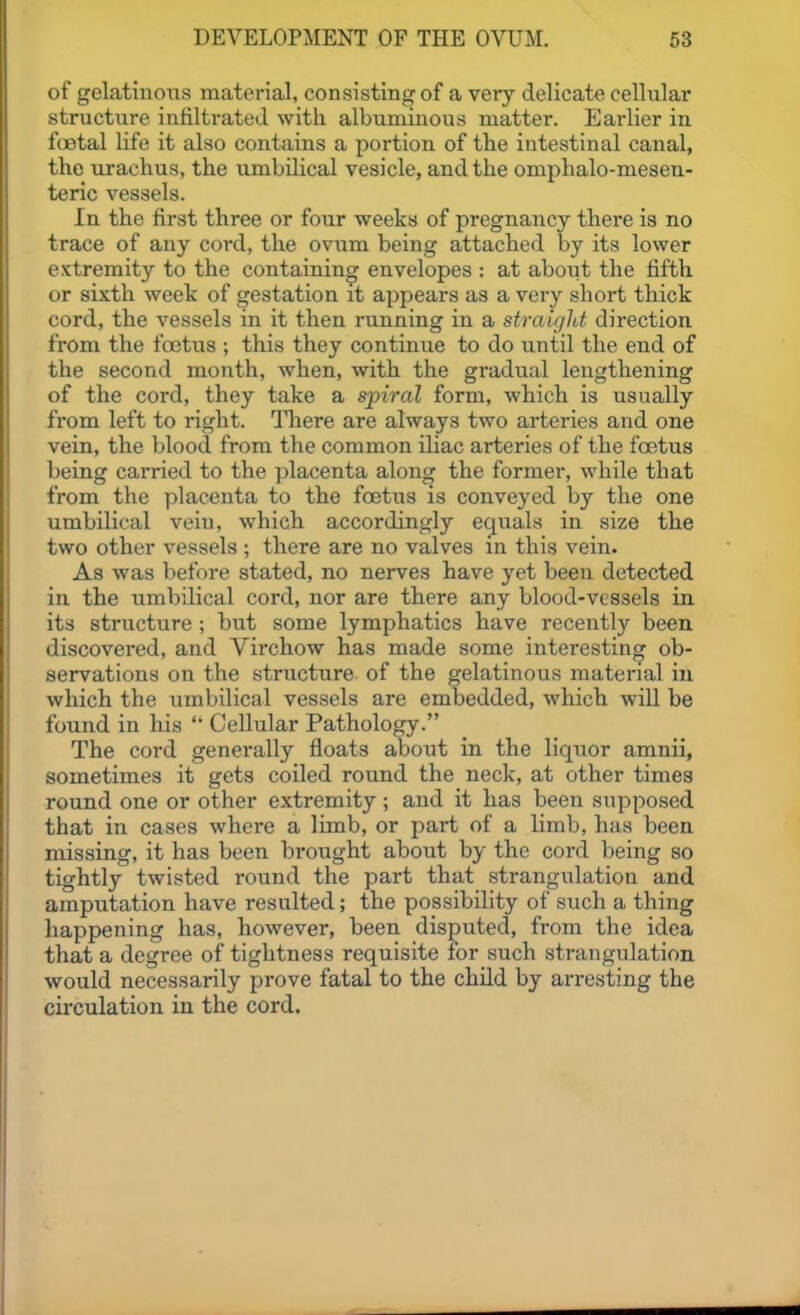 of gelatinous material, consisting of a very delicate cellular structure infiltrated with albuminous matter. Earlier in foetal life it also contains a portion of the intestinal canal, the urachus, the umbihcal vesicle, and the omphalo-mesen- teric vessels. In the first three or four weeks of pregnancy there is no trace of any cord, the ovum being attached by its lower extremity to the containing envelopes : at about the fifth or sixth week of gestation it appears as a very short thick cord, the vessels in it then running in a straigld direction from the foetus ; this they continue to do until the end of the second month, when, with the gradual lengthening of the cord, they take a spiral form, which is usually from left to right. There are always two arteries and one vein, the blood from the common iliac arteries of the foetus being carried to the placenta along the former, while that from the placenta to the foetus is conveyed by the one umbilical vein, which accordingly equals in size the two other vessels ; there are no valves in this vein. As was before stated, no nerves have yet been detected in the umbilical cord, nor are there any blood-vessels in its structure ; but some lymphatics have recently been discovered, and Virchow has made some interesting ob- servations on the structure of the gelatinous material in which the umbilical vessels are embedded, which wiU be found in his Cellular Pathology. The cord generally floats about in the liquor amnii, sometimes it gets coiled round the neck, at other times round one or other extremity ; and it has been supposed that in cases where a limb, or part of a limb, has been missing, it has been brought about by the cord being so tightly twisted round the part that strangulation and amputation have resulted; the possibility of such a thing happening has, however, been disputed, from the idea that a degree of tightness requisite for such strangulation would necessarily prove fatal to the child by arresting the circulation in the cord.