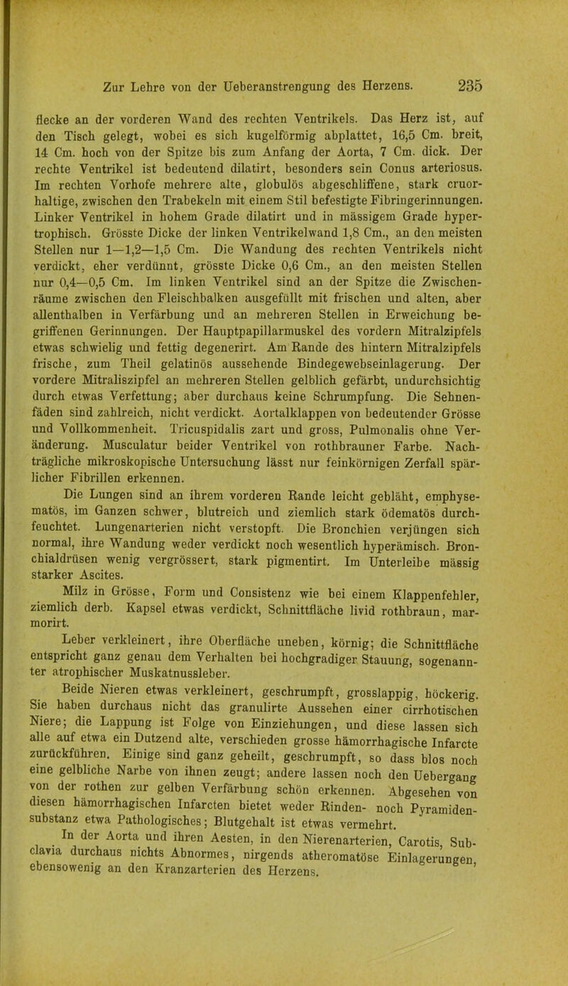 flecke an der vorderen Wand des rechten Ventrikels. Das Herz ist, auf den Tisch gelegt, wobei es sich kugelförmig abplattet, 16,5 Cm. breit, 14 Cm. hoch von der Spitze bis zum Anfang der Aorta, 7 Cm. dick. Der rechte Ventrikel ist bedeutend dilatirt, besonders sein Conus arteriosus. Im rechten Vorhofe mehrere alte, globulös abgeschliffene, stark cruor- haltige, zwischen den Trabekeln mit einem Stil befestigte Fibringerinnungen. Linker Ventrikel in hohem Grade dilatirt und in massigem Grade hyper- trophisch. Grösste Dicke der linken Ventrikelwand 1,8 Cm., an den meisten Stellen nur 1—1,2—1,5 Cm. Die Wandung des rechten Ventrikels nicht verdickt, eher verdünnt, grösste Dicke 0,6 Cm., an den meisten Stellen nur 0,4—0,5 Cm. Im linken Ventrikel sind an der Spitze die Zwischen- räume zwischen den Fleischbalken ausgefüllt mit frischen und alten, aber allenthalben in Verfärbung und an mehreren Stellen in Erweichung be- griffenen Gerinnungen. Der Hauptpapillarmuskel des vordem Mitralzipfels etwas schwielig und fettig degenerirt. Am Rande des hintern Mitralzipfels frische, zum Theil gelatinös aussehende Bindegewebseinlagerung. Der vordere Mitraliszipfel an mehreren Stellen gelblich gefärbt, undurchsichtig durch etwas Verfettung; aber durchaus keine Schrumpfung. Die Sehnen- fäden sind zahlreich, nicht verdickt. Aortalklappen von bedeutender Grösse und Vollkommenheit. Tricuspidalis zart und gross, Pulmonalis ohne Ver- änderung. Musculatur beider Ventrikel von rothbrauner Farbe. Nach- trägliche mikroskopische Untersuchung lässt nur feinkörnigen Zerfall spär- licher Fibrillen erkennen. Die Lungen sind an ihrem vorderen Rande leicht gebläht, emphyse- matös, im Ganzen schwer, blutreich und ziemlich stark ödematös durch- feuchtet. Lungenarterien nicht verstopft. Die Bronchien verjüngen sich normal, ihre Wandung weder verdickt noch wesentlich hyperämisch. Bron- chialdrüsen wenig vergrössert, stark pigmentirt. Im Unterleibe mässig starker Ascites. Milz in Grösse, Form und Consistenz wie bei einem Klappenfehler, ziemlich derb. Kapsel etwas verdickt, Schnittfläche livid rothbraun, mar- morirt. Leber verkleinert, ihre Oberfläche uneben, körnig; die Schnittfläche entspricht ganz genau dem Verhalten bei hochgradiger Stauung, sogenann- ter atrophischer Muskatnussleber. Beide Nieren etwas verkleinert, geschrumpft, grosslappig, höckerig. Sie haben durchaus nicht das granulirte Aussehen einer cirrhotischen Niere; die Lappung ist Folge von Einziehungen, und diese lassen sich alle auf etwa ein Dutzend alte, verschieden grosse hämorrhagische Infarcte zurückführen. Einige sind ganz geheilt, geschrumpft, so dass blos noch eine gelbliche Narbe von ihnen zeugt; andere lassen noch den Uebergang von der rothen zur gelben Verfärbung schön erkennen. Abgesehen von diesen hämorrhagischen Infarcten bietet weder Rinden- noch Pyramiden- substanz etwa Pathologisches; Blutgehalt ist etwas vermehrt. In der Aorta und ihren Aesten, in den Nierenarterien, Carotis Sub- clavia durchaus nichts Abnormes, nirgends atheromatöse Einlagerungen ebensowenig an den Kranzarterien des Herzens.