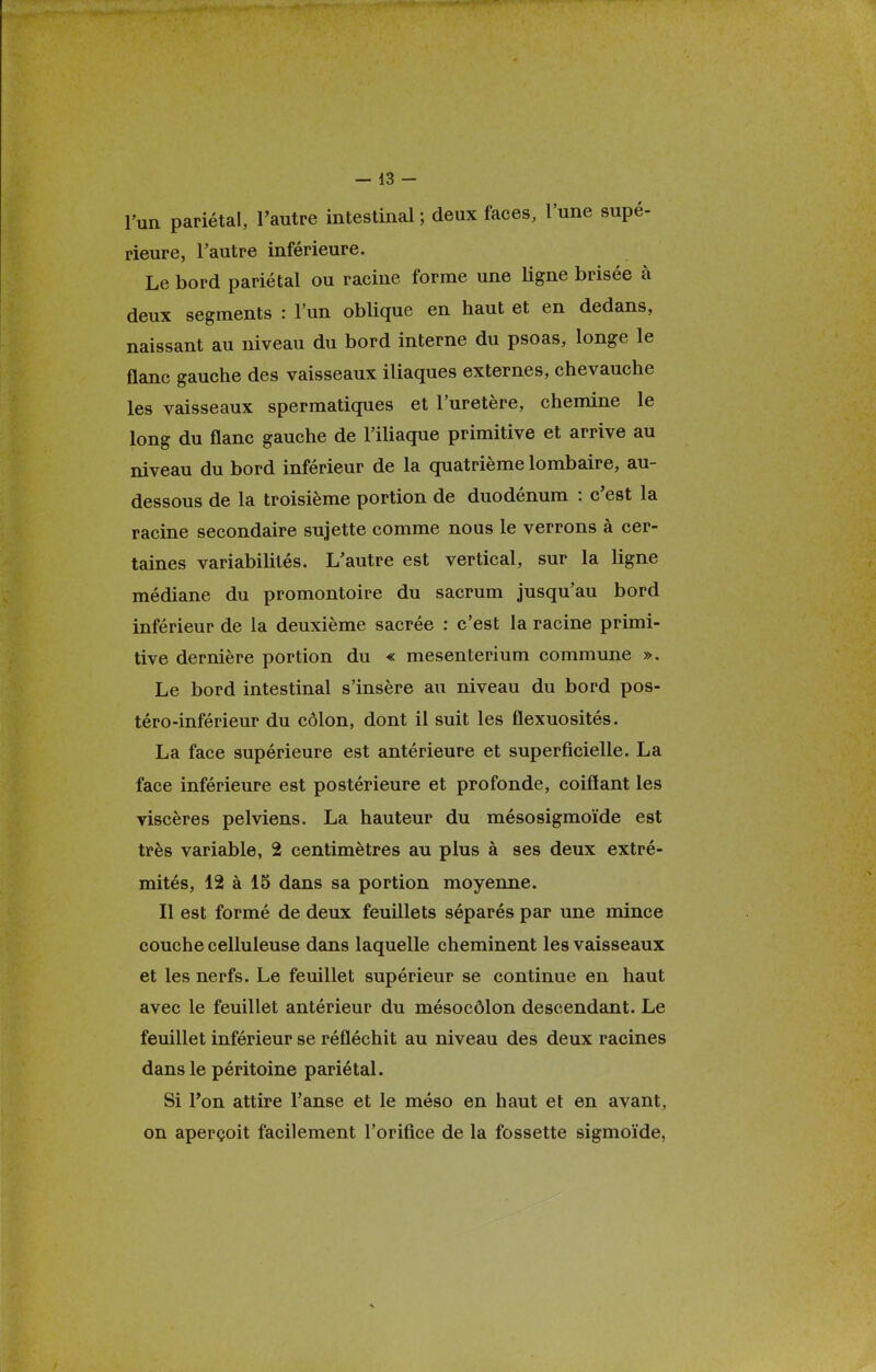 l'un pariétal, l'autre intestinal ; deux faces, l'une supé- rieure, Fautre inférieure. Le bord pariétal ou racine forme une ligne brisée à deux segments : l'un oblique en haut et en dedans, naissant au niveau du bord interne du psoas, longe le flanc gauche des vaisseaux iliaques externes, chevauche les vaisseaux spermatiques et l'uretère, chemine le long du flanc gauche de l'iliaque primitive et arrive au niveau du bord inférieur de la quatrième lombaire, au- dessous de la troisième portion de duodénum : c'est la racine secondaire sujette comme nous le verrons à cer- taines variabilités. L'autre est vertical, sur la ligne médiane du promontoire du sacrum jusqu'au bord inférieur de la deuxième sacrée : c'est la racine primi- tive dernière portion du « mesenterium commune ». Le bord intestinal s'insère au niveau du bord pos- téro-inférieur du côlon, dont il suit les flexuosités. La face supérieure est antérieure et superficielle. La face inférieure est postérieure et profonde, coiffant les viscères pelviens. La hauteur du mésosigmoïde est très variable, 2 centimètres au plus à ses deux extré- mités, 12 à 15 dans sa portion moyenne. Il est formé de deux feuillets séparés par une mince couche celluleuse dans laquelle cheminent les vaisseaux et les nerfs. Le feuillet supérieur se continue en haut avec le feuillet antérieur du mésocôlon descendant. Le feuillet inférieur se réfléchit au niveau des deux racines dans le péritoine pariétal. Si Ton attire l'anse et le méso en haut et en avant, on aperçoit facilement l'orifice de la fossette sigmoïde,