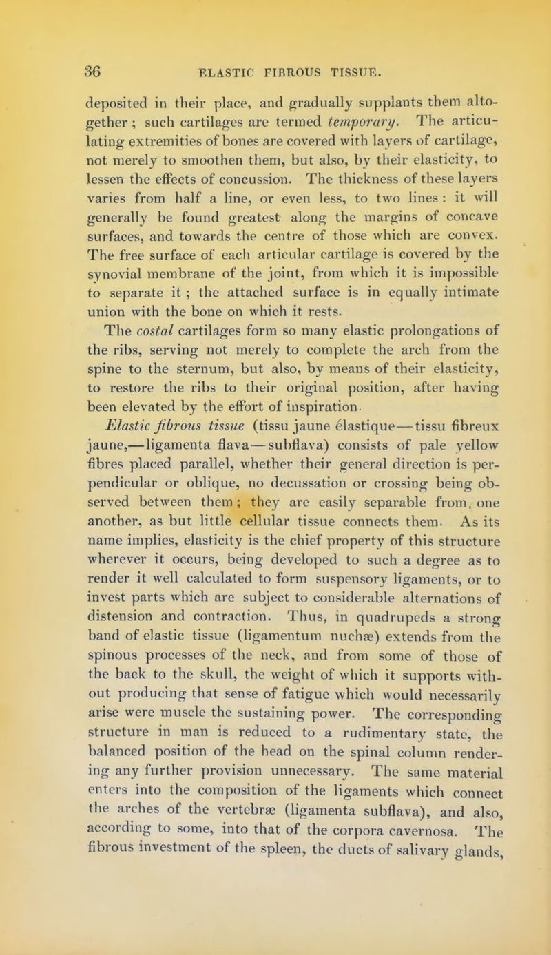 deposited in their place, and gradually supplants them alto- gether ; such cartilages are termed temporary. The articu- lating extremities of bones are covered with layers of cartilage, not merely to smoothen them, but also, by their elasticity, to lessen the effects of concussion. The thickness of these layers varies from half a line, or even less, to two lines : it will generally be found greatest along the margins of concave surfaces, and towards the centre of those which are convex. The free surface of each articular cartilage is covered by the synovial membrane of the joint, from which it is impossible to separate it ; the attached surface is in equally intimate union with the bone on which it rests. The costal cartilages form so many elastic prolongations of the ribs, serving not merely to complete the arch from the spine to the sternum, but also, by means of their elasticity, to restore the ribs to their original position, after having been elevated by the effort of inspiration. Elastic fibrous tissue (tissu jaune elastique — tissu fibreux jaune,—ligamenta flava—subflava) consists of pale yellow fibres placed parallel, whether their general direction is per- pendicular or oblique, no decussation or crossing being ob- served between them; they are easily separable from, one another, as but little cellular tissue connects them. As its name implies, elasticity is the chief property of this structure wherever it occurs, being developed to such a degree as to render it well calculated to form suspensory ligaments, or to invest parts which are subject to considerable alternations of distension and contraction. Thus, in quadrupeds a strong band of elastic tissue (ligamentum nuchas) extends from the spinous processes of the neck, and from some of those of the back to the skull, the weight of which it supports with- out producing that sense of fatigue which would necessarily arise were muscle the sustaining power. The corresponding structure in man is reduced to a rudimentary state, the balanced position of the head on the spinal column render- ing any further provision unnecessary. The same material enters into the composition of the ligaments which connect the arches of the vertebras (ligamenta subflava), and also, according to some, into that of the corpora cavernosa. The fibrous investment of the spleen, the ducts of salivary glands,