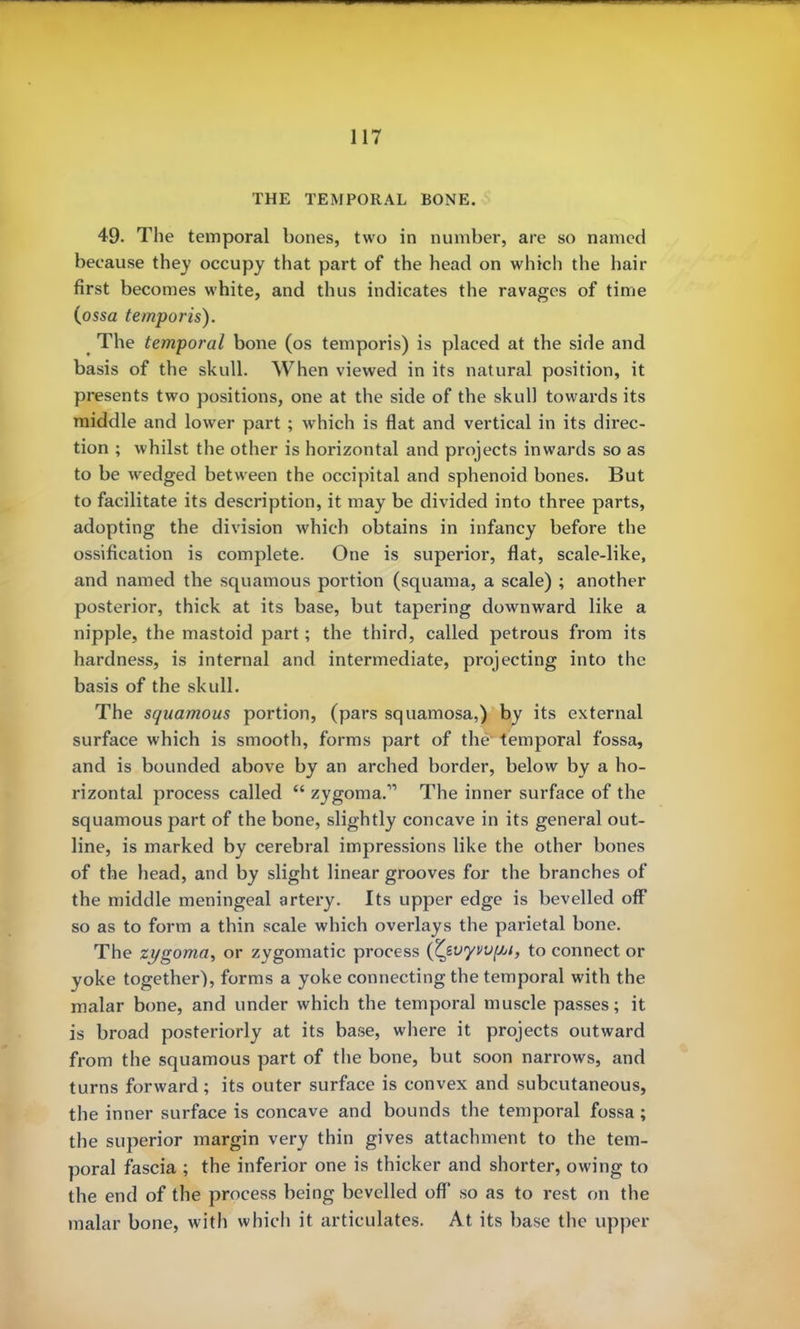 THE TEMPORAL BONE. 49. The temporal bones, two in number, are so named because they occupy that part of the head on which the hair first becomes white, and thus indicates the ravages of time (ossa temporis). The temporal bone (os temporis) is placed at the side and basis of the skull. When viewed in its natural position, it presents two positions, one at the side of the skull towards its middle and lower part ; which is flat and vertical in its direc- tion ; whilst the other is horizontal and projects inwards so as to be wedged between the occipital and sphenoid bones. But to facilitate its description, it may be divided into three parts, adopting the division which obtains in infancy before the ossification is complete. One is superior, flat, scale-like, and named the squamous portion (squama, a scale) ; another posterior, thick at its base, but tapering downward like a nipple, the mastoid part; the third, called petrous from its hardness, is internal and intermediate, projecting into the basis of the skull. The squamous portion, (pars squamosa,) by its external surface which is smooth, forms part of the temporal fossa, and is bounded above by an arched border, below by a ho- rizontal process called  zygoma. The inner surface of the squamous part of the bone, slightly concave in its general out- line, is marked by cerebral impressions like the other bones of the head, and by slight linear grooves for the branches of the middle meningeal artery. Its upper edge is bevelled off so as to form a thin scale which overlays the parietal bone. The zygoma, or zygomatic process (Czvyvvpt, to connect or yoke together), forms a yoke connecting the temporal with the malar bone, and under which the temporal muscle passes; it is broad posteriorly at its base, where it projects outward from the squamous part of the bone, but soon narrows, and turns forward; its outer surface is convex and subcutaneous, the inner surface is concave and bounds the temporal fossa ; the superior margin very thin gives attachment to the tem- poral fascia ; the inferior one is thicker and shorter, owing to the end of the process being bevelled off so as to rest on the malar bone, with which it articulates. At its base the upper