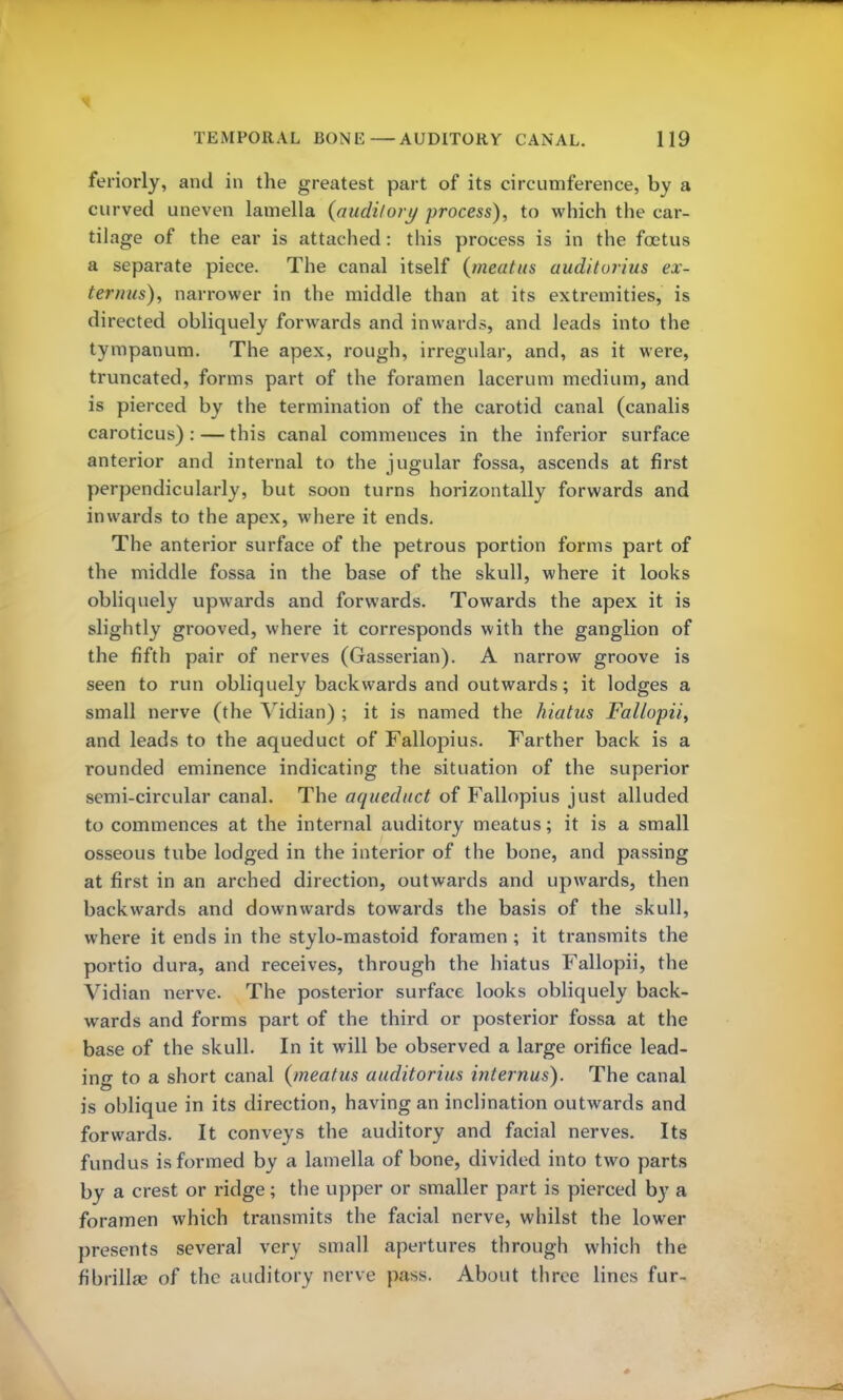 feriorly, and in the greatest part of its circumference, by a curved uneven lamella (audi/org process), to which the car- tilage of the ear is attached: this process is in the foetus a sepai-ate piece. The canal itself (meatus auditorius ex- ternus), narrower in the middle than at its extremities, is directed obliquely forwards and inwards, and leads into the tympanum. The apex, rough, irregular, and, as it were, truncated, forms part of the foramen lacerum medium, and is pierced by the termination of the carotid canal (canalis caroticus): — this canal commences in the inferior surface anterior and internal to the jugular fossa, ascends at first perpendicularly, but soon turns horizontally forwards and inwards to the apex, where it ends. The anterior surface of the petrous portion forms part of the middle fossa in the base of the skull, where it looks obliquely upwards and forwards. Towards the apex it is slightly grooved, where it corresponds with the ganglion of the fifth pair of nerves (Gasserian). A narrow groove is seen to run obliquely backwards and outwards; it lodges a small nerve (the Vidian) ; it is named the hiatus Fallopii, and leads to the aqueduct of Fallopius. Farther back is a rounded eminence indicating the situation of the superior semi-circular canal. The aqueduct of Fallopius just alluded to commences at the internal auditory meatus; it is a small osseous tube lodged in the interior of the bone, and passing at first in an arched direction, outwards and upwards, then backwards and downwards towards the basis of the skull, where it ends in the stylo-mastoid foramen ; it transmits the portio dura, and receives, through the hiatus Fallopii, the Vidian nerve. The posterior surface looks obliquely back- wards and forms part of the third or posterior fossa at the base of the skull. In it will be observed a large orifice lead- ing to a short canal (meatus auditorius internus). The canal is oblique in its direction, having an inclination outwards and forwards. It conveys the auditory and facial nerves. Its fundus is formed by a lamella of bone, divided into two parts by a crest or ridge; the upper or smaller part is pierced by a foramen which transmits the facial nerve, whilst the lower presents several very small apertures through which the fibrilhc of the auditory nerve pass. About three lines fur-