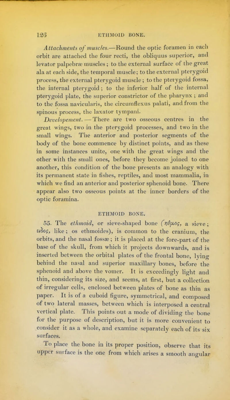 Attachments of muscles.—Round the optic foramen in cacli orbit are attached the four recti, the obliquus superior, and levator palpebral muscles; to the external surface of the great ala at each side, the temporal muscle; to the external pterygoid process, the external pterygoid muscle; to the pterygoid fossa, the internal pterygoid ; to the inferior half of the internal pterygoid plate, the superior constrictor of the pharynx ; and to the fossa navicularis, the eircumflexus palati, and from the spinous process, the laxator tympani. Developement.—There are two osseous centres in the great wings, two in the pterygoid processes, and two in the small wings. Tiie anterior and posterior segments of the body of the bone commence by distinct points, and as these in some instances unite, one with the great wings and the other with the small ones, before they become joined to one another, this condition of the bone presents an analogy with its permanent state in fishes, reptiles, and most mammalia, in which we find an anterior and posterior sphenoid bone. There appear also two osseous points at the inner borders of the optic foramina. ETHMOID BONE. 55. The ethmoid, or sieve-shaped bone (ri&^Log, a sieve; zihog, like; os ethmoides), is common to the cranium, the orbits, and the nasal fossae; it is placed at the fore-part of the base of the skull, from which it projects downwards, and is inserted between the orbital plates of the frontal bone, lying behind the nasal and superior maxillary bones, before the sphenoid and above the vomer. It is exceedingly light and thin, considering its size, and seems, at first, but a collection of irregular cells, enclosed between plates of bone as thin as paper. It is of a cuboid figure, symmetrical, and composed of two lateral masses, between which is interposed a central vertical plate. This points out a mode of dividing the bone for the purpose of description, but it is more convenient to consider it as a whole, and examine separately each of its six surfaces. To place the bone in its proper position, observe that its upper surface is the one from which arises a smooth ano-ular