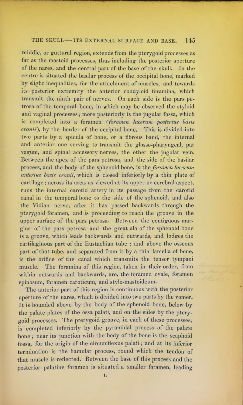 middle, or guttural region, extends from the pterygoid processes as far as the mastoid processes, thus including the posterior aperture of the nares, and the central part of the base of the skull. In the centre is situated the basilar process of the occipital bone, marked by slight inequalities, for the attachment of muscles, and towards its posterior extremity the anterior condyloid foramina, which transmit the ninth pair of nerves. On each side is the pars pe- trosa of the temporal bone, in which may be observed the styloid and vaginal processes; more posteriorly is the jugular fossa, which is completed into a foramen (foramen lacerum posterius basis cranii), by the border of the occipital bone. This is divided into two parts by a spicula of bone, or a fibrous band, the internal and anterior one serving to transmit the glosso-pharyngeal, par vagum, and spinal accessory nerves, the other the jugular vein. Between the apex of the pars petrosa, and the side of the basilar process, and the body of the sphenoid bone, is the foramen lacerum anterius basis cranii, which is closed inferiorly by a thin plate of cartilage; across its area, as viewed at its upper or cerebral aspect, runs the internal carotid artery in its passage from the carotid canal in the temporal bone to the side of the sphenoid, and also the Vidian nerve, after it has passed backwards through the pterygoid foramen, and is proceeding to reach the groove in the upper surface of the pars petrosa. Between the contiguous mar- gins of the pars petrosa and the great ala of the sphenoid bone is a groove, which leads backwards and outwards, and lodges the cartilaginous part of the Eustachian tube ; and above the osseous part of that tube, and separated from it by a thin lamella of bone, is the orifice of the canal which transmits the tensor tympani muscle. The foramina of this region, taken in their order, from within outwards and backwards, are, the foramen ovale, foramen spinosum, foramen caroticum, and stylo-mastoideum. The anterior part of this region is continuous with the posterior aperture of the nares, which is divided into two parts by the vomer. It is bounded above by the body of the sphenoid bone, below by the palate plates of the ossa palati, and on the sides by the ptery- goid processes. The pterygoid groove, in each of these processes, is completed inferiorly by the pyramidal process of the palate bone ; near its junction with the body of the bone is the scaphoid fossa, for the origin of the circumflexus palati; and at its inferior termination is the hamular process, round which the tendon of that muscle is reflected. Between the base of this process and the posterior palatine foramen is situated a smaller foramen, leading L