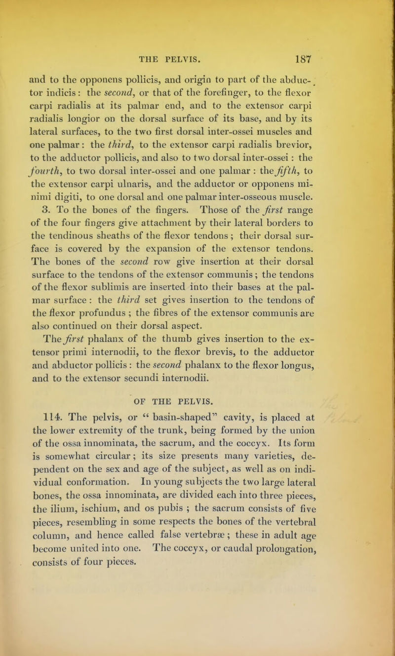 and to the opponens pollicis, and origin to part of the abduc- tor indicis : the second, or that of the forefinger, to the flexor carpi radialis at its palmar end, and to the extensor carpi radialis longior on the dorsal surface of its base, and by its lateral surfaces, to the two first dorsal inter-ossei muscles and one palmar : the third, to the extensor carpi radialis brevior, to the adductor pollicis, and also to two dorsal inter-ossei: the fourth, to two dorsal inter-ossei and one palmar : the fifth, to the extensor carpi ulnaris, and the adductor or opponens mi- nimi digiti, to one dorsal and one palmar inter-osseous muscle. 3. To the bones of the fingers. Those of the first range of the four fingers give attachment by their lateral borders to the tendinous sheaths of the flexor tendons ; their dorsal sur- face is covered by the expansion of the extensor tendons. The bones of the second row give insertion at their dorsal surface to the tendons of the extensor communis ; the tendons of the flexor sublimis are inserted into their bases at the pal- mar surface : the third set gives insertion to the tendons of the flexor profundus ; the fibres of the extensor communis are also continued on their dorsal aspect. The^Vsf phalanx of the thumb gives insertion to the ex- tensor primi internodii, to the flexor brevis, to the adductor and abductor pollicis : the second phalanx to the flexor longus, and to the extensor secundi internodii. OF THE PELVIS. 114. The pelvis, or  basin-shaped cavity, is placed at the lower extremity of the trunk, being formed by the union of the ossa innominata, the sacrum, and the coccyx. Its form is somewhat circular; its size presents many varieties, de- pendent on the sex and age of the subject, as well as on indi- vidual conformation. In young subjects the two large lateral bones, the ossa innominata, are divided each into three pieces, the ilium, ischium, and os pubis ; the sacrum consists of five pieces, resembling in some respects the bones of the vertebral column, and hence called false vertebrae; these in adult age become united into one. The coccyx, or caudal prolongation, consists of four pieces.