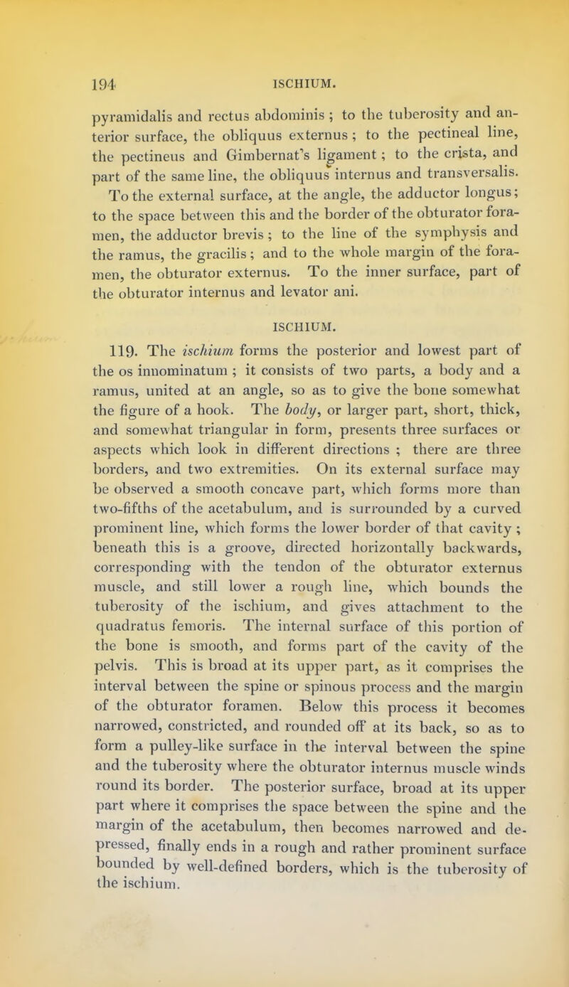 pyramidalis and rectus abdominis ; to the tuberosity and an- terior surface, the obliquus externus; to the pectineal line, the pectineus and Gimbernat's ligament; to the crista, and part of the same line, the obliquus internus and transversalis. To the external surface, at the angle, the adductor longus; to the space between this and the border of the obturator fora- men, the adductor brevis; to the line of the symphysis and the ramus, the gracilis; and to the whole margin of the fora- men, the obturator externus. To the inner surface, part of the obturator internus and levator ani. ISCHIUM. 119- The ischium forms the posterior and lowest part of the os innominatum ; it consists of two parts, a body and a ramus, united at an angle, so as to give the bone somewhat the figure of a hook. The body, or larger part, short, thick, and somewhat triangular in form, presents three surfaces or aspects which look in different directions ; there are three borders, and two extremities. On its external surface may be observed a smooth concave part, which forms more than two-fifths of the acetabulum, and is surrounded by a curved prominent line, which forms the lower border of that cavity ; beneath this is a groove, directed horizontally backwards, corresponding with the tendon of the obturator externus muscle, and still lower a rough line, which bounds the tuberosity of the ischium, and gives attachment to the quadratus femoris. The internal surface of this portion of the bone is smooth, and forms part of the cavity of the pelvis. This is broad at its upper part, as it comprises the interval between the spine or spinous process and the margin of the obturator foramen. Below this process it becomes narrowed, constricted, and rounded off at its back, so as to form a pulley-like surface in the interval between the spine and the tuberosity where the obturator internus muscle winds round its border. The posterior surface, broad at its upper part where it comprises the space between the spine and the margin of the acetabulum, then becomes narrowed and de- pressed, finally ends in a rough and rather prominent surface bounded by well-defined borders, which is the tuberosity of the ischium.