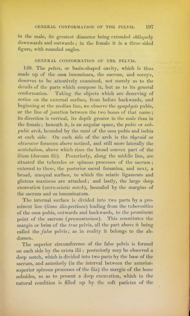 in the male, its greatest diameter being extended obliquely downwards and outwards ; in the female it is a three sided figure, with rounded angles. GENERAL CONFORMATION OF THE PELVIS. 120. The pelvis, or basin-shaped cavity, which is thus made up of the ossa innominata, the sacrum, and coccyx, deserves to be attentively examined, not merely as to the details of the parts which compose it, but as to its general conformation. Taking the objects which are deserving of notice on the external surface, from before backwards, and beginning at the median line, we observe the symphysis pubis, or the line of junction between the two bones of that name; its direction is vertical, its depth greater in the male than in the female; beneath it, is an angular space, the pubic or sub- pubic arch, bounded by the rami of the ossa pubis and ischia at each side On each side of the arch is the thyroid or obi ii ml or foramen above noticed, and still more laterally the ace/abu/um, above which rises the broad convex part of the ilium (dorsum ilii). Posteriorly, along the middle line, are situated the tubercles or spinous processes of the sacrum ; external to these, the posterior sacral foramina, and next, a broad, unequal surface, to which the sciatic ligaments and gluteus maximus are attached ; and lastly, the large deep excavation {sacro-sciatic notch), bounded by the margins of the sacrum and os innominatum. The internal surface is divided into two parts by a pro- minent line (linea ilio-pectinea) leading from the tuberosities of the ossa pubis, outwards and backwards, to the prominent point of the sacrum {promontorium). This constitutes the margin or brim of the true pelvis, all the part above it being called the false pelvis; as in reality it belongs to the ab- domen. The superior circumference of the false pelvis is formed on each side by the crista ilii ; posteriorly may be observed a deep notch, which is divided into two parts by the base of the sacrum, and anteriorly (in the interval between the anterior- superior spinous processes of the ilia) the margin of the bone subsides, so as to present a deep excavation, which in the natural condition is filled up by the soft parietes of the