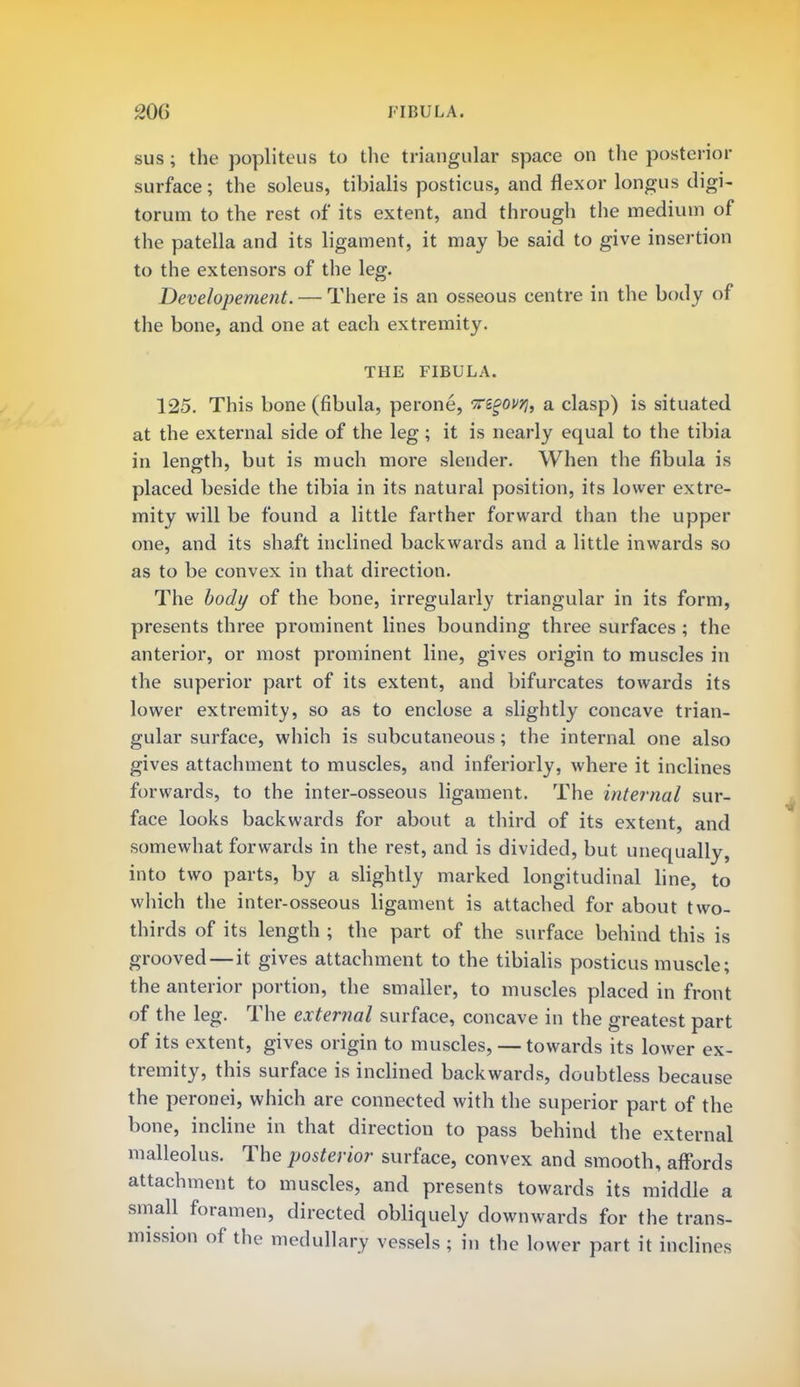sus ; the popliteus to the triangular space on the posterior surface; the soleus, tibialis posticus, and flexor longus digi- torum to the rest of its extent, and through the medium of the patella and its ligament, it may be said to give insertion to the extensors of the leg. Developement. — There is an osseous centre in the body of the bone, and one at each extremity. THE FIBULA. 125. This bone (fibula, perone, Ki^ovy, a clasp) is situated at the external side of the leg; it is nearly equal to the tibia in length, but is much more slender. When the fibula is placed beside the tibia in its natural position, its lower extre- mity will be found a little farther forward than the upper one, and its shaft inclined backwards and a little inwards so as to be convex in that direction. The body of the bone, irregularly triangular in its form, presents three prominent lines bounding three surfaces ; the anterior, or most prominent line, gives origin to muscles in the superior part of its extent, and bifurcates towards its lower extremity, so as to enclose a slightly concave trian- gular surface, which is subcutaneous; the internal one also gives attachment to muscles, and inferiorly, where it inclines forwards, to the inter-osseous ligament. The internal sur- face looks backwards for about a third of its extent, and somewhat forwards in the rest, and is divided, but unequally, into two parts, by a slightly marked longitudinal line, to which the inter-osseous ligament is attached for about two- thirds of its length ; the part of the surface behind this is grooved—it gives attachment to the tibialis posticus muscle; the anterior portion, the smaller, to muscles placed in front of the leg. The external surface, concave in the greatest part of its extent, gives origin to muscles, — towards its lower ex- tremity, this surface is inclined backwards, doubtless because the peronei, which are connected with the superior part of the bone, incline in that direction to pass behind the external malleolus. The posterior surface, convex and smooth, affords attachment to muscles, and presents towards its middle a small foramen, directed obliquely downwards for the trans- mission of the medullary vessels ; in the lower part it inclines
