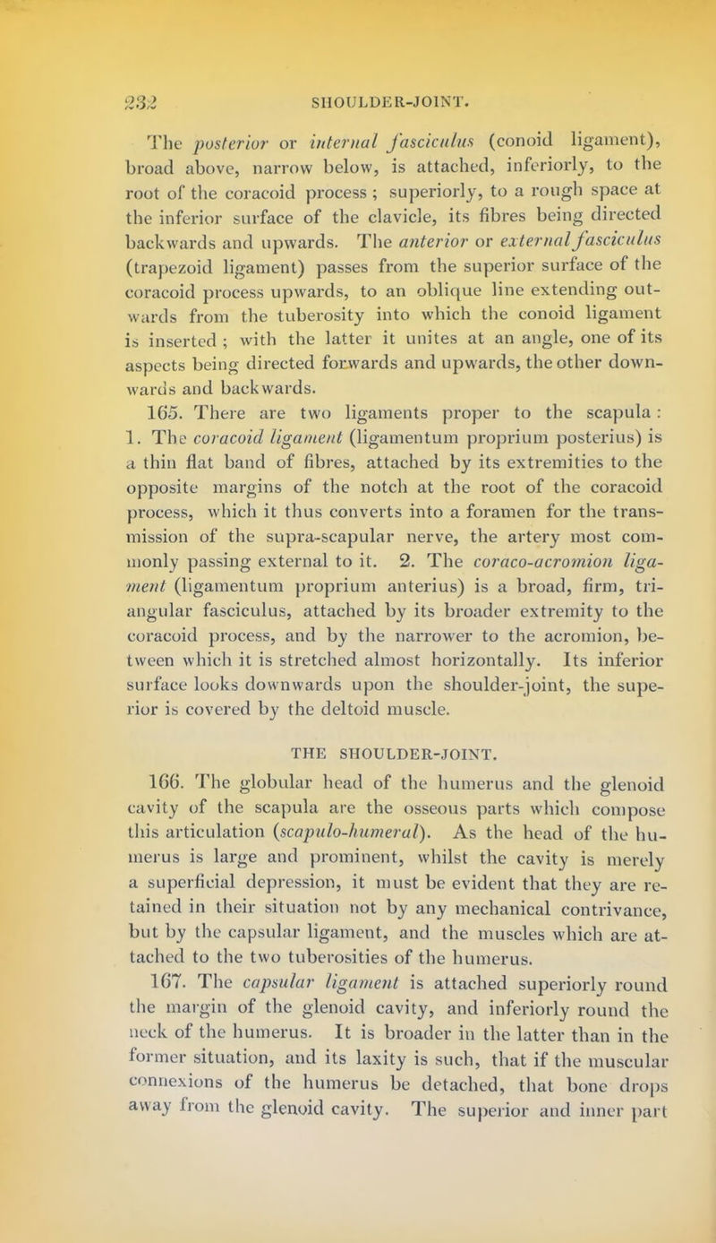 The posterior or internal fasciculus (conoid ligament), broad above, narrow below, is attached, inferiorly, to the root of the coracoid process ; superiorly, to a rough space at the inferior surface of the clavicle, its fibres being directed backwards and upwards. The anterior or external fasciculus (trapezoid ligament) passes from the superior surface of the coracoid process upwards, to an oblique line extending out- wards from the tuberosity into which the conoid ligament is inserted ; with the latter it unites at an angle, one of its aspects being directed forwards and upwards, the other down- wards and backwards. 165. There are two ligaments proper to the scapula : 1. The coracoid ligament (ligamentum proprium posterius) is a thin flat band of fibres, attached by its extremities to the opposite margins of the notch at the root of the coracoid process, which it thus converts into a foramen for the trans- mission of the supra-scapular nerve, the artery most com- monly passing external to it. 2. The coraco-acromion liga- ment (ligamentum proprium anterius) is a broad, firm, tri- angular fasciculus, attached by its broader extremity to the coracoid process, and by the narrower to the acromion, be- tween which it is stretched almost horizontally. Its inferior surface looks downwards upon the shoulder-joint, the supe- rior is covered by the deltoid muscle. THE SHOULDER-JOINT. 166. The globular head of the humerus and the glenoid cavity of the scapula are the osseous parts which compose this articulation (scapulo-humeral). As the head of the hu- merus is large and prominent, whilst the cavity is merely a superficial depression, it must be evident that they are re- tained in their situation not by any mechanical contrivance, but by the capsular ligament, and the muscles which are at- tached to the two tuberosities of the humerus. 167. The capsular ligament is attached superiorly round the margin of the glenoid cavity, and inferiorly round the neck of the humerus. It is broader in the latter than in the former situation, and its laxity is such, that if the muscular connexions of the humerus be detached, that bone drops away from the glenoid cavity. The superior and inner part