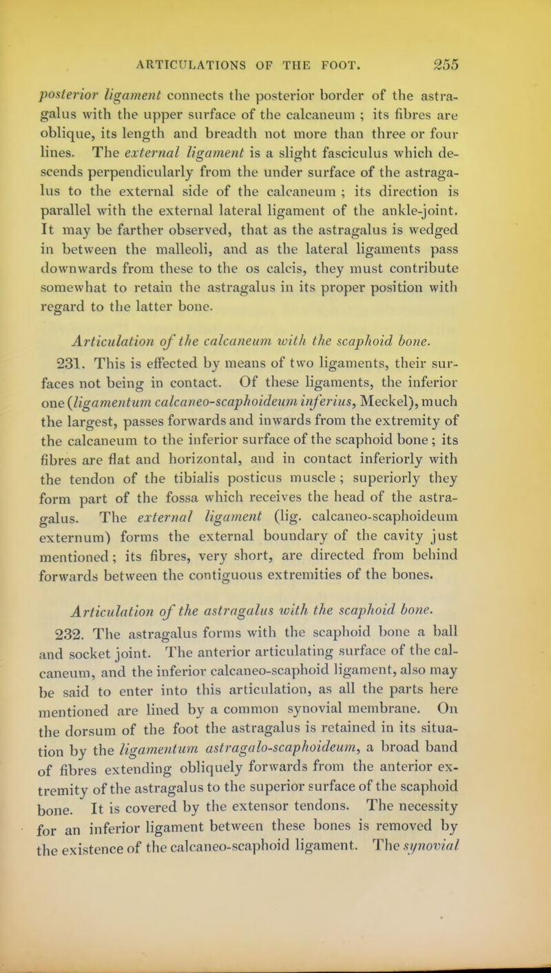 posterior ligament connects the posterior border of the astra- galus with the upper surface of the calcaneum ; its fibres are oblique, its length and breadth not more than three or four lines. The external ligament is a slight fasciculus which de- scends perpendicularly from the under surface of the astraga- lus to the external side of the calcaneum ; its direction is parallel with the external lateral ligament of the ankle-joint. It may be farther observed, that as the astragalus is wedged in between the malleoli, and as the lateral ligaments pass downwards from these to the os calcis, they must contribute somewhat to retain the astragalus in its proper position with regard to the latter bone. Articulation of the calcaneum with the scaphoid bone. 231. This is effected by means of two ligaments, their sur- faces not being in contact. Of these ligaments, the inferior one (liga men turn calcaneo-scaphoideum inferius, Meckel), much the largest, passes forwards and inwards from the extremity of the calcaneum to the inferior surface of the scaphoid bone ; its fibres are flat and horizontal, and in contact inferiorly with the tendon of the tibialis posticus muscle; superiorly they form part of the fossa which receives the head of the astra- galus. The external ligament (lig. calcaneo-scaphoideum externum) forms the external boundary of the cavity just mentioned; its fibres, very short, are directed from behind forwards between the contiguous extremities of the bones. Articulation of the astragalus with the scaphoid bone. 232. The astragalus forms with the scaphoid bone a ball and socket joint. The anterior articulating surface of the cal- caneum, and the inferior calcaneo-scaphoid ligament, also may be said to enter into this articulation, as all the parts here mentioned are lined by a common synovial membrane. On the dorsum of the foot the astragalus is retained in its situa- tion by the ligamentum astragalo-scaphoideum, a broad band of fibres extending obliquely forwards from the anterior ex- tremity of the astragalus to the superior surface of the scaphoid bone. It is covered by the extensor tendons. The necessity for an inferior ligament between these bones is removed by the existence of the calcaneo-scaphoid ligament. The synovial