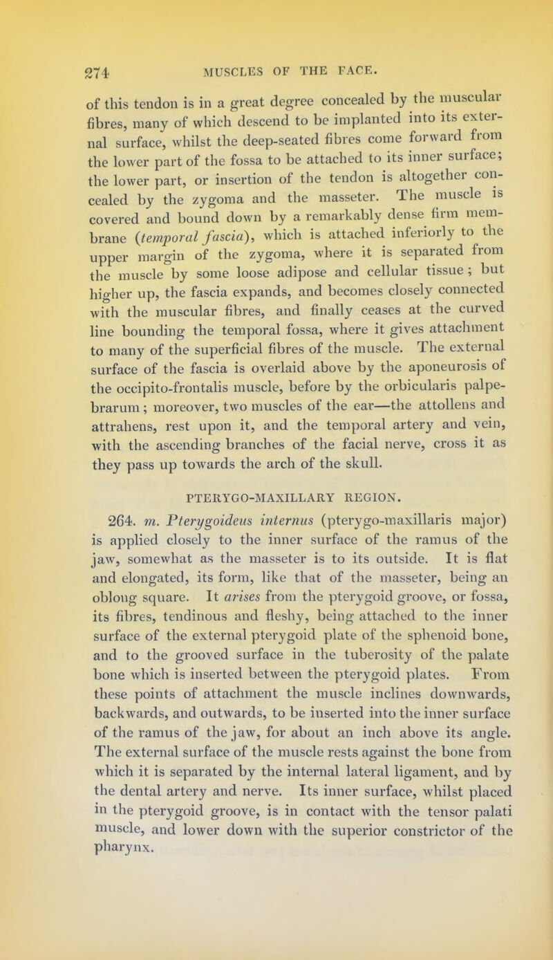 of this tendon is in a great degree concealed by the muscular fibres, many of which descend to be implanted into its exter- nal surface, whilst the deep-seated fibres come forward from the lower part of the fossa to be attached to its inner surface; the lower part, or insertion of the tendon is altogether con- cealed by the zygoma and the masseter. The muscle is covered and bound down by a remarkably dense firm mem- brane {temporal fascia), which is attached inferiorly to the upper margin of the zygoma, where it is separated from the muscle by some loose adipose and cellular tissue ; but higher up, the fascia expands, and becomes closely connected with the muscular fibres, and finally ceases at the curved line bounding the temporal fossa, where it gives attachment to many of the superficial fibres of the muscle. The external surface of the fascia is overlaid above by the aponeurosis of the occipito-frontalis muscle, before by the orbicularis palpe- brarum ; moreover, two muscles of the ear—the attollens and attrahens, rest upon it, and the temporal artery and vein, with the ascending branches of the facial nerve, cross it as they pass up towards the arch of the skull. PTERYGO-MAXILLARY REGION. 264. m. Pterygoideus internus (pterygo-maxillaris major) is applied closely to the inner surface of the ramus of the jaw, somewhat as the masseter is to its outside. It is flat and elongated, its form, like that of the masseter, being an oblong square. It arises from the pterygoid groove, or fossa, its fibres, tendinous and fleshy, being attached to the inner surface of the external pterygoid plate of the sphenoid bone, and to the grooved surface in the tuberosity of the palate bone which is inserted between the pterygoid plates. From these points of attachment the muscle inclines downwards, backwards, and outwards, to be inserted into the inner surface of the ramus of the jaw, for about an inch above its angle. The external surface of the muscle rests against the bone from which it is separated by the internal lateral ligament, and by the dental artery and nerve. Its inner surface, whilst placed in the pterygoid groove, is in contact with the tensor palati muscle, and lower down with the superior constrictor of the pharynx.