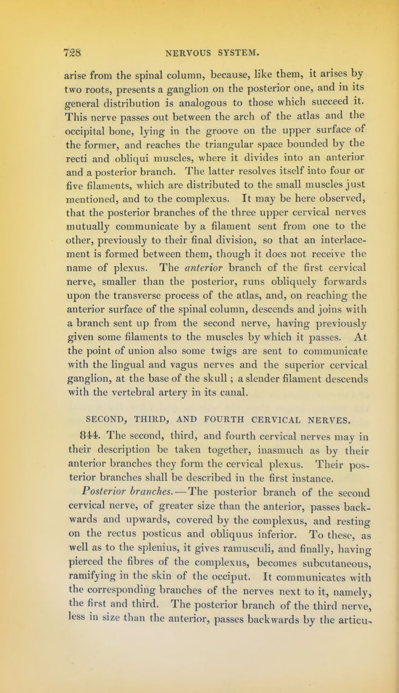 arise from the spinal column, because, like them, it arises by two roots, presents a ganglion on the posterior one, and in its general distribution is analogous to those which succeed it. This nerve passes out between the arch of the atlas and the occipital bone, lying in the groove on the upper surface of the former, and reaches the triangular space bounded by the recti and obliqui muscles, where it divides into an anterior and a posterior branch. The latter resolves itself into four or five filaments, which are distributed to the small muscles just mentioned, and to the complexus. It may be here observed, that the posterior branches of the three upper cervical nerves mutually communicate by a filament sent from one to the other, previously to their final division, so that an interlace- ment is formed between them, though it does not receive the name of plexus. The anterior branch of the first cervical nerve, smaller than the posterior, runs obliquely forwards upon the transverse process of the atlas, and, on reaching the anterior surface of the spinal column, descends and joins with a branch sent up from the second nerve, having previously given some filaments to the muscles by which it passes. At the point of union also some twigs are sent to communicate with the lingual and vagus nerves and the superior cervical ganglion, at the base of the skull; a slender filament descends with the vertebral artery in its canal. SECOND, THIRD, AND FOURTH CERVICAL NERVES. 844. The second, third, and fourth cervical nerves may in their description be taken together, inasmuch as by their anterior branches they form the cervical plexus. Their pos- terior branches shall be described in the first instance. Posterior branches. — The posterior branch of the second cervical nerve, of greater size than the anterior, passes back- wards and upwards, covered by the complexus, and resting on the rectus posticus and obliquus inferior. To these, as well as to the splenius, it gives ramusculi, and finally, having pierced the fibres of the complexus, becomes subcutaneous, ramifying in the skin of the occiput. It communicates with the corresponding branches of the nerves next to it, namely, the first and third. The posterior branch of the third nerve, less in size than the anterior, passes backwards by the articu-