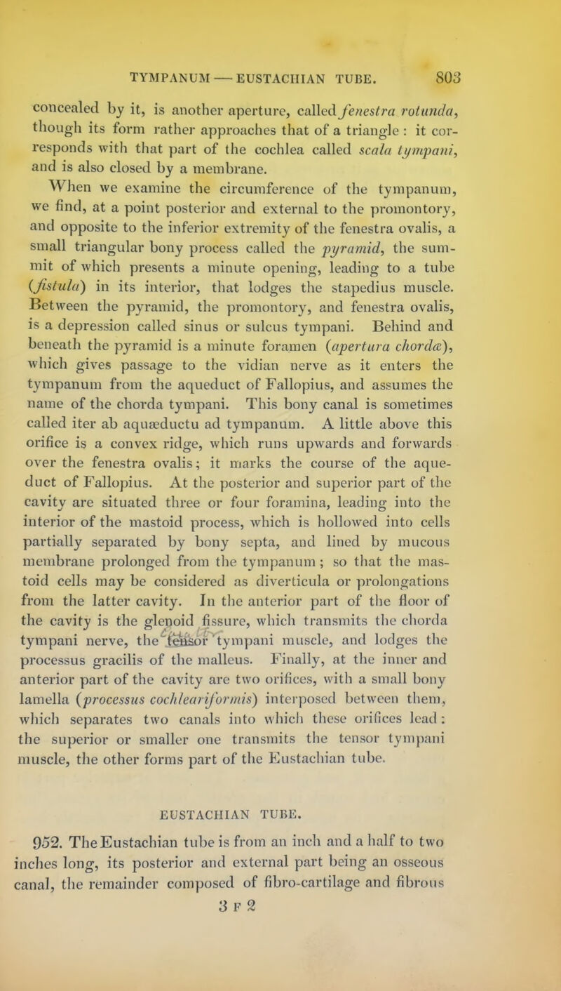 TYMPANUM — EUSTACHIAN TUBE. SOS concealed by it, is another aperture, called fenestra rotunda, though its form rather approaches that of a triangle : it cor- responds with that part of the cochlea called scala tympani, and is also closed by a membrane. When we examine the circumference of the tympanum, we find, at a point posterior and external to the promontory, and opposite to the inferior extremity of the fenestra ovalis, a small triangular bony process called the pyramid, the sum- mit of which presents a minute opening, leading to a tube (Jistula) in its interior, that lodges the stapedius muscle. Bet ween the pyramid, the promontory, and fenestra ovalis, is a depression called sinus or sulcus tympani. Behind and beneath the pyramid is a minute foramen (apertura chorda), which gives passage to the vidian nerve as it enters the tympanum from the aqueduct of Fallopius, and assumes the name of the chorda tympani. This bony canal is sometimes called iter ab aqua?ductu ad tympanum. A little above this orifice is a convex ridge, which runs upwards and forwards over the fenestra ovalis; it marks the course of the aque- duct of Fallopius. At the posterior and superior part of the cavity are situated three or four foramina, leading into the interior of the mastoid process, which is hollowed into cells partially separated by bony septa, and lined by mucous membrane prolonged from the tympanum ; so that the mas- toid cells may be considered as diverticula or prolongations from the latter cavity. In the anterior part of the floor of the cavity is the glenoid fissure, which transmits the chorda tympani nerve, the tensor tympani muscle, and lodges the processus gracilis of the malleus. Finally, at the inner and anterior part of the cavity are two orifices, with a small bony lamella (processus eochleariformis) interposed between them, which separates two canals into which these orifices lead : the superior or smaller one transmits the tensor tympani muscle, the other forms part of the Eustachian tube. EUSTACHIAN TUBE. 952. The Eustachian tube is from an inch and a half to two inches long, its posterior and external part being an osseous canal, the remainder composed of fibro-cartilage and fibrous