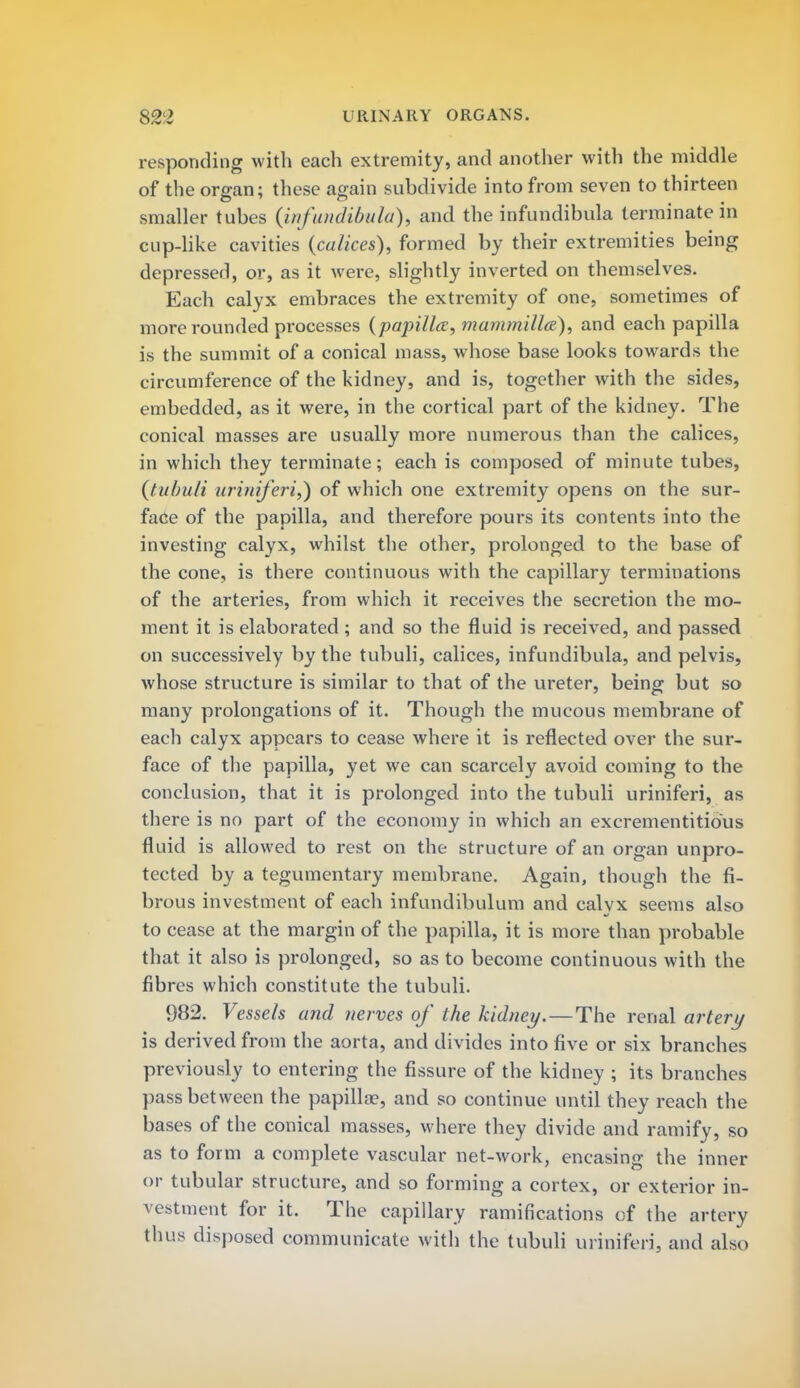 responding with each extremity, and another with the middle of the organ; these again subdivide into from seven to thirteen smaller tubes (infundibula), and the infundibula terminate in cup-like cavities (calices), formed by their extremities being depressed, or, as it were, slightly inverted on themselves. Each calyx embraces the extremity of one, sometimes of more rounded processes (pajnlla, mammilla), and each papilla is the summit of a conical mass, whose base looks towards the circumference of the kidney, and is, together with the sides, embedded, as it were, in the cortical part of the kidney. The conical masses are usually more numerous than the calices, in which they terminate; each is composed of minute tubes, (tubu/i uriniferi,) of which one extremity opens on the sur- face of the papilla, and therefore pours its contents into the investing calyx, whilst the other, prolonged to the base of the cone, is there continuous with the capillary terminations of the arteries, from which it receives the secretion the mo- ment it is elaborated; and so the fluid is received, and passed on successively by the tubuli, calices, infundibula, and pelvis, whose structure is similar to that of the ureter, being but so many prolongations of it. Though the mucous membrane of each calyx appears to cease where it is reflected over the sur- face of the papilla, yet we can scarcely avoid coming to the conclusion, that it is prolonged into the tubuli uriniferi, as there is no part of the economy in which an excrementitio'us fluid is allowed to rest on the structure of an organ unpro- tected by a tegumentary membrane. Again, though the fi- brous investment of each infundibulum and calyx seems also to cease at the margin of the papilla, it is more than probable that it also is prolonged, so as to become continuous with the fibres which constitute the tubuli. 982. Vessels and nerves of the kidney.—The renal artery is derived from the aorta, and divides into five or six branches previously to entering the fissure of the kidney ; its branches pass between the papilla?, and so continue until they reach the bases of the conical masses, where they divide and ramify, so as to form a complete vascular net-work, encasing the inner or tubular structure, and so forming a cortex, or exterior in- vestment for it. The capillary ramifications of the artery thus disposed communicate with the tubuli uriniferi, and also