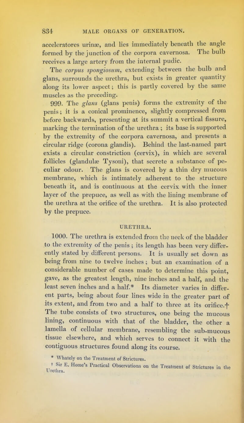 acceleratores urinae, and lies immediately beneath the angle formed by the junction of the corpora cavernosa. The bulb receives a large artery from the internal pudic. The corpus spongiosum, extending between the bulb and glans, surrounds the urethra, but exists in greater quantity along its lower aspect; this is partly covered by the same muscles as the preceding. 999. The glans (glans penis) forms the extremity of the penis; it is a conical prominence, slightly compressed from before backwards, presenting at its summit a vertical fissure, marking the termination of the urethra ; its base is supported by the extremity of the corpora cavernosa, and presents a circular ridge (corona glandis). Behind the last-named part exists a circular constriction (cervix), in which are several follicles (glandulas Tysoni), that secrete a substance of pe- culiar odour. The glans is covered by a thin dry mucous membrane, which is intimately adherent to the structure beneath it, and is continuous at the cervix with the inner layer of the prepuce, as well as with the lining membrane of the urethra at the orifice of the urethra. It is also protected by the prepuce. URETHRA. 1000. The urethra is extended from the neck of the bladder to the extremity of the penis ; its length has been very differ- ently stated by different persons. It is usually set down as being from nine to twelve inches ; but an examination of a considerable number of cases made to determine this point, gave, as the greatest length, nine inches and a half, and the least seven inches and a half.* Its diameter varies in differ- ent parts, being about four lines wide in the greater part of its extent, and from two and a half to three at its orifice.f The tube consists of two structures, one being the mucous lining, continuous with that of the bladder, the other a lamella of cellular membrane, resembling the sub-mucous tissue elsewhere, and which serves to connect it with the contiguous structures found along its course. * VVhately on the Treatment of Strictures. t Sir E. Home's Practical Observations on the Treatment of Strictures in the Urethra.