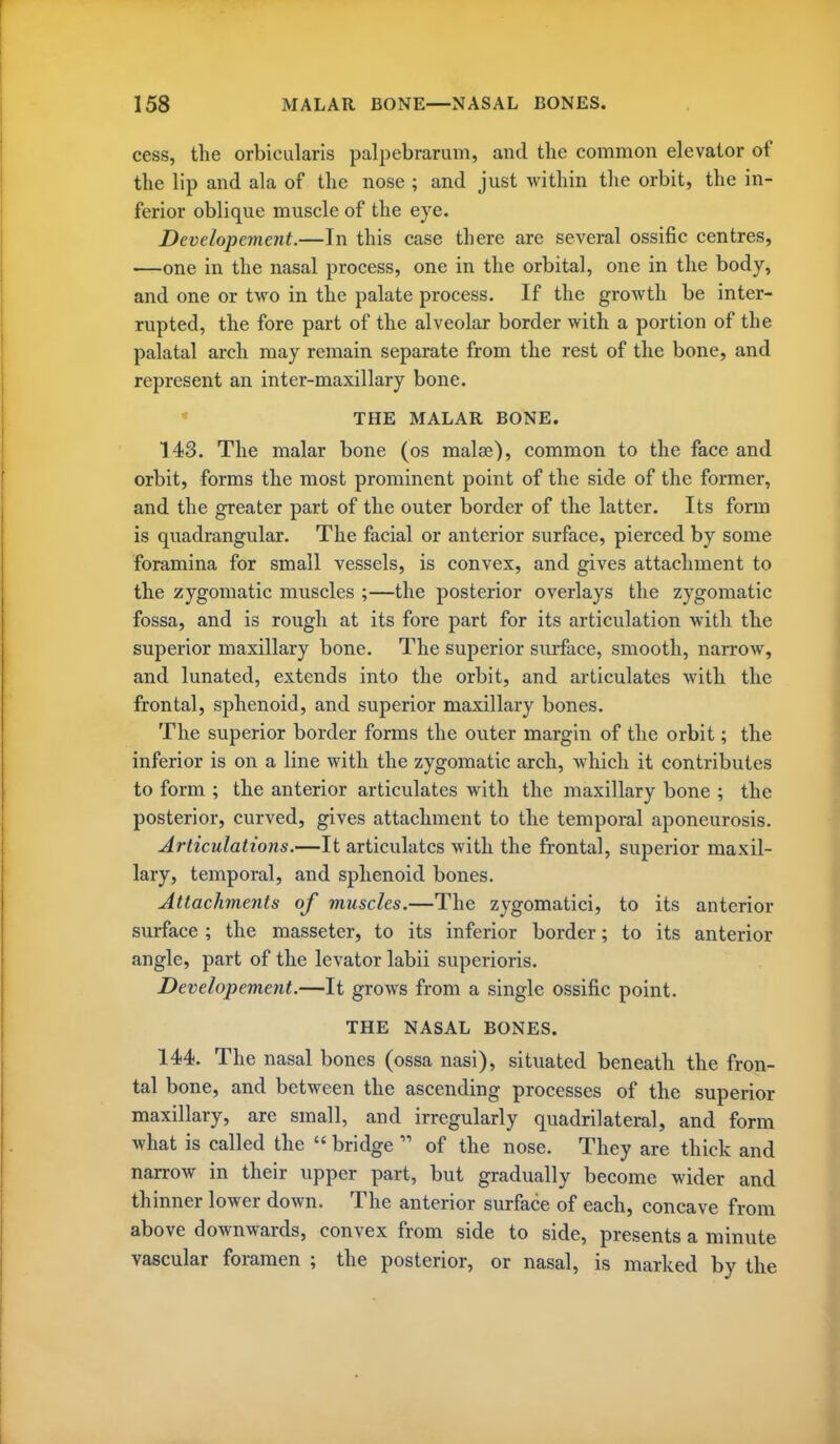 cess, the orbicularis palpebrarum, and the common elevator of the lip and ala of the nose ; and just within the orbit, the in- ferior oblique muscle of the eye. Developement.—In this case there are several ossific centres, —one in the nasal process, one in the orbital, one in the body, and one or two in the palate process. If the growth be inter- rupted, the fore part of the alveolar border with a portion of the palatal arch may remain separate from the rest of the bone, and represent an inter-maxillary bone. THE MALAR BONE. 143. The malar bone (os malae), common to the face and orbit, forms the most prominent point of the side of the former, and the greater part of the outer border of the latter. Its form is quadrangular. The facial or anterior surface, pierced by some foramina for small vessels, is convex, and gives attachment to the zygoiuatic muscles ;—the posterior overlays the zygomatic fossa, and is rough at its fore part for its articulation with the superior maxillary bone. The superior surface, smooth, narrow, and lunated, extends into the orbit, and articulates with the frontal, sphenoid, and superior maxillary bones. The superior border forms the outer margin of the orbit; the inferior is on a line with the zygomatic arch, which it contributes to form ; the anterior articulates with the maxillary bone ; the posterior, curved, gives attachment to the temporal aponeurosis. Articulations.—It articulates with the frontal, superior maxil- lary, temporal, and sphenoid bones. Attachments of muscles.—The zygomatici, to its anterior surface ; the masseter, to its inferior border; to its anterior angle, part of the levator labii superioris. Developement.—It grows from a single ossific point. THE NASAL BONES. 144. The nasal bones (ossa nasi), situated beneath the fron- tal bone, and between the ascending processes of the superior maxillary, are small, and irregularly quadrilateral, and form what is called the  bridge  of the nose. They are thick and narrow in their upper part, but gradually become wider and th inner lower down. The anterior surface of each, concave from above downwards, convex from side to side, presents a minute vascular foramen ; the posterior, or nasal, is marked by the