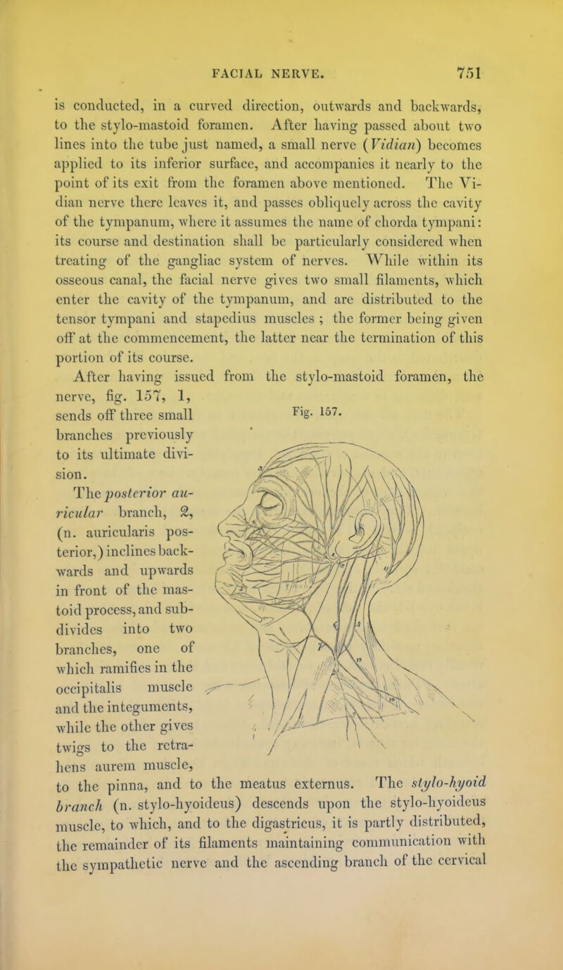 is conducted, in a curved direction, outwards and back^vards, to the stylo-mastoid foramen. After Laving passed about two lines into the tube just named, a small nerve ( Vidian) becomes applied to its inferior surface, and accompanies it nearly to the point of its exit from the foramen above mentioned. The Vi- dian nerve there leaves it, and passes obliquely across the cavity of the tympanum, where it assumes the name of chorda tympani: its course and destination shall be particularly considered when treating of the gangliac system of nerves. While Avithin its osseous canal, the facial nerve gives two small filaments, wliich enter the cavity of the tympanum, and are distributed to the tensor tympani and stapedius muscles ; the former being given off at the commencement, the latter near the termination of this portion of its course. After having issued from the stylo-mastoid foramen, the nerve, fig. 157, 1, sends off three small branches previously to its ultimate divi- sion. The posterior au- ricular branch, 2, (n. auricularis pos- terior,) inclines back- Avards and upwards in front of the mas- toid process, and sub- divides into two branches, one of which ramifies in the occipitalis muscle and the integuments, while the other gives twigs to the retra- licns aurem muscle, to the pinna, and to the meatus externus. The stijJo-hijoid branch (n. stylo-hyoideus) descends upon the stylo-hyoidcus muscle, to which, and to the digastricus, it is partly distributed, the remainder of its filaments maintaining communication with the sympathetic nerve and the ascending branch of the cervical Fig. 157.