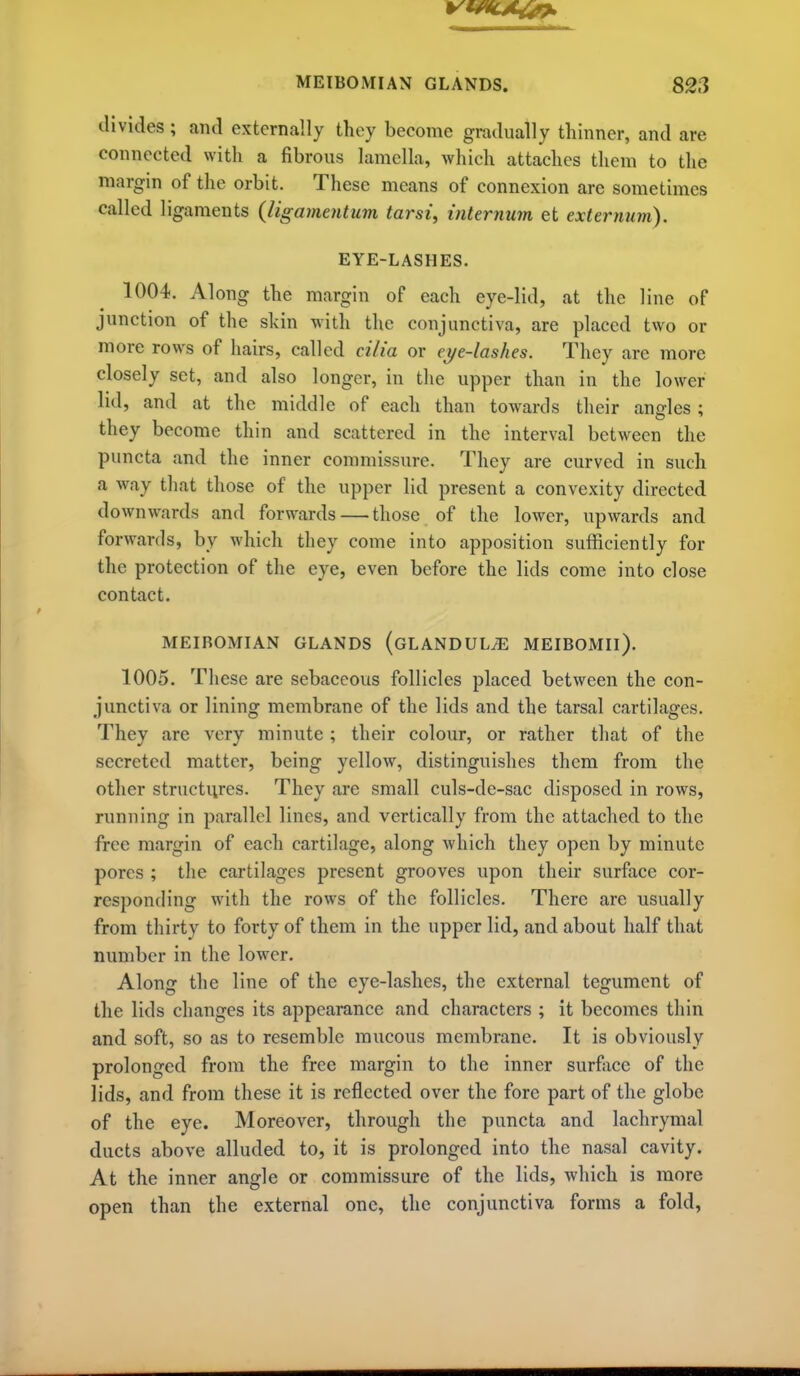 divides; and externally they become gradually thinner, and are connected with a fibrous lamella, which attaches them to the margin of the orbit. These means of connexion are sometimes called ligaments {ligamentum tarsi, internum et externum). EYE-LASHES. 1004. Along the margin of each eye-lid, at the line of junction of the shin with the conjunctiva, are placed two or more rows of hairs, called cilia or ei/e-lashes. They are more closely set, and also longer, in the upper than in the lower lid, and at the middle of each than towards their angles ; they become thin and scattered in the interval between the puncta and the inner commissure. They are curved in such a way that those of the upper lid present a convexity directed downwards and forwards — those of the lower, upwards and forwards, by which they come into apposition sufficiently for the protection of the eye, even before the lids come into close contact. MEIBOMIAN GLANDS (gLANDUL^ MEIBOMII). 1005. These are sebaceous follicles placed between the con- junctiva or lining membrane of the lids and the tarsal cartilages. They are very minute; their colour, or rather that of the secreted matter, being yellow, distinguishes them from the other structures. They are small culs-de-sac disposed in rows, running in parallel lines, and vertically from the attached to the free margin of each cartilage, along which they open by minute pores ; the cartilages present grooves upon their surface cor- responding with the rows of the follicles. There are usually from thirty to forty of them in the upper lid, and about half that number in the lower. Along the line of the eye-lashes, the external tegument of the lids changes its appearance and characters ; it becomes thin and soft, so as to resemble mucous membrane. It is obviously prolonged from the free margin to the inner surface of the lids, and from these it is reflected over the fore part of the globe of the eye. Moreover, through the puncta and lachrymal ducts above alluded to, it is prolonged into the nasal cavity. At the inner angle or commissure of the lids, which is more open than the external one, the conjunctiva forms a fold.