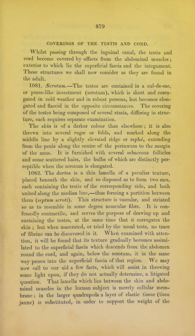COVERINGS OF THE TESTIS AND CORD. Wliilst passing through the inguinal canal, the testis and cord become covered by offsets fi oin the abdominal muscles; exterior to which lie the superficial ftiscia and the integument. These structures we shall now consider as they are found in the adult. 1081. Scrotum.—The testes are contained in a cul-de-sac, or purse-like investment (scrotum), which is short and corru- gated in cold weather and in robust persons, but becomes elon- gated and flaccid in the opposite circumstances. The covering of the testes being composed of several strata, differing in struc- ture, each requires separate examination. The skin is of a darker colour than elsewhere ; it is also thrown into several rugae or folds, and marked along the middle line by a slightly elevated ridge or raphe, extending from the penis along the centre of the perinseura to the margin of the anus. It is furnished with several sebaceous follicles and some scattered hairs, the bulbs of which are distinctly per- ceptible when the scrotum is elongated. 1082. The dartos is a thin lamella of a peculiar texture, placed beneath the skin, and so disposed as to form two sacs, each containing the testis of the corresponding side, and both united along the median line,—thus forming a partition between them (septum scroti). This structure is vascular, and striated so as to resemble in some degree muscular fibre. It is con- fessedly contractile, and serves the purpose of drawing up and sustaining the testes, at the same time that it corrugates the skin ; but when macerated, or tried by the usual tests, no trace of fibrine can be discovered in it. When examined with atten- tion, it will be found that its texture gradually becomes assimi- lated to the superficial fascia which descends from the abdomen round the cord, and again, below the scrotum, it in the same way passes into the superficial fascia of that region. We may now call to our aid a few facts, which will assist in throwing some light upon, if they do not actually determine, a litigated question. That lamella which lies between the skin and abdo- minal muscles in the human subject is merely cellular mem- brane ; in the larger quadrupeds a layer of elastic tissue (tissu jaunc) is substituted, in order to support the weight of the