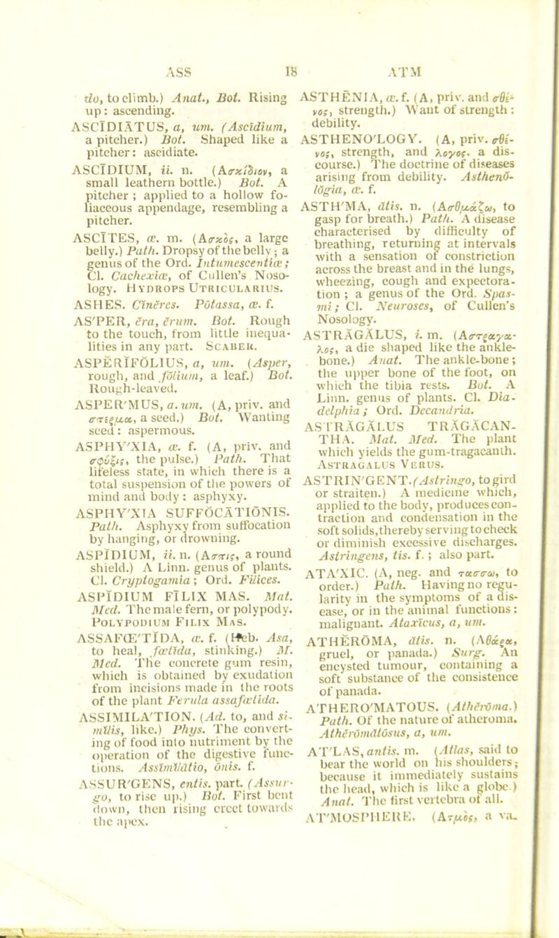 xlo, to climb.) Anat., Hot. Rising up: ascending. ASCTDIATUS, a, um. (Ascidium, a pitcher.) Bot. Shaped like a pitcher: ascidiate. ASCIDIUM, ii. n. (Aerztdiov, a small leathern bottle.) Bot. A pitcher ; applied to a hollow fo- liaceous appendage, resembling a pitcher. ASCITES, cc. m. (Atrzis, a large belly.) Path. Dropsy of the belly; a genus of the Ord. Intumesce-niice; Cl. Cachexia;, of Cullen’s Noso- logy. Hydrops Utricularius. ASHES. CinSrcs. Potassa, ce. f. AS'PER, era, drum. Bot. Rough to the touch, from little inequa- lities in any part. Scabek. ASPERTfOLIUS, a, urn. (Asper, rough, and JBliuin, a leaf.) Bot. Rough-leaved. ASPER'MUS, a.um. (A, priv. and e-Tcru.ce., a seed.) Bot. Wanting seed : aspermous. ASPHY'XIA, a:, f. (A, priv. and traces, the pulse.) Path. That lifeless state, in which there is a total suspension of the powers of mind and body : asphyxy. ASPHY'XIA SUFFOCaTIONIS. Path. Asphyxy from suffocation by hanging, or drowning. ASP1DIUM, ii. n. (Arens, around shield.) A Linn, genus of plants. Cl. Cryptogamia; Ord. Filices. ASP1DIUM FlLIX MAS. Mat. Med. The male fern, or polypody. POLYPOD I UM FlLIX MaS. ASSAFCE'TlDA, ffi. f. (tfcb. Asa, to heal, Joetula, stinking.) iff. Med. Tlie concrete gum resin, which is obtained by exudation from incisions made in the roots of the plant Ferula assafcctida. ASSIMILA'TION. (Ad. to, and si. mllis, like.) Phys. The convert- ing of food into nutriment by the operation of the digestive func- tions. AsslmVdtio, Onis. f. ASSUR'GENS, entis. part. (Assnr- go, to rise up.) Bot. First bent down, then rising erect towards the apex. ASTHENIA, tt'.f. (A, priv. and trDi- ve,;, strength.) Want of strength : debility. ASTHENO'LOGY. (A, priv. M- vo;, strength, and Xeyos- a dis- course.) The doctrine of diseases arising from debility. AsthenO- lOgia, ce. f. ASTH'MA, dtis. n. (AtrOpt.delui, to gasp for breath.) Path. A disease characterised by difficulty of breathing, returning at intervals with a sensation of constriction across the breast and in the lungs, wheezing, cough and expectora- tion ; a genus of the Ord. Spas- mi; Cl. Neuroses, of Cullen’s Nosology. ASTRAGALUS, i. m. (Aerrgotyat- Xo;, a die shaped like the ankle- bone.) Anat. The ankle-bone; the upper bone of the foot, on which the tibia rests. Bot. A Linn, genus of plants. Cl. Dia- dclphia; Ord. Decamlria. ASTRAGALUS TRAgACAN- THA. Mat. Med. The plant which yields the gum-tragacanth. Astragalus Verus. ASTRIN'GENT.(Astringo, to gird or straiten.) A medicine which, applied to the body, produces con- traction and condensation in the soft solids, thereby ser v i ug to check or diminish excessive discharges. Aslringens, tis. f.; also part. ATA'XIC. (A, neg. and T«rera, to order.) Path. Havingno regu- larity in the symptoms of a dis- ease, or in the animal functions: malignant. Ataxlcus, a, um. ATHEROMA, litis, n. (AO&gx, gruel, or panada.) Surg. An encysted tumour, containing a soft substance of the consistence of panada. ATHERO'MATOUS. (Atheroma.) Path. Of the nature of atheroma. AthirOmdtOsus, a, um. ATLAS, antis, m. (Atlas, said to bear the world on his shoulders; because it immediately sustains the head, which is like a globe ) Anat. The first vertebra ot all. ATMOSPHERE. (Ar/xis, a va_