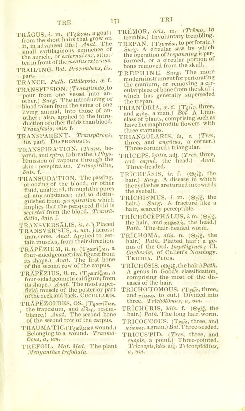 TRE TRAGUS, i. in- (T^xyos, a goat; from the sliovt hairs that grow on it, in advanced life.) Anat. The small cartilaginous eminence ot the auricle, or external ear, situa- ted in front of the meatus ext emus. TRAILING. But. PrOcumbens, tis. part. TRANCE. Path. Cdtdlepsia, <e. f. TRANSFU'SION. (Transfundo, to pour from one vessel into an- other.) Surer. The introducing of blood taken from the veins ot one living animal, into those of an- other ; also, applied to the intro- duction of other fluids than blood. Transfusio, unis. f. TRANSPARENT. TranspUrens, tis. part. Dtaphonosus. TRANSPIRA'TION. (Trans, be- yond, and spiro, to breathe.) Phys. Emission of vapours through the skin : perspiration. Transplratin, onis. f. TRANSUDA'TION. The passing, or oozing of the blood, or other fluid, unaltered, through the pores of any substance; and so distin- guished from perspiration which implies that the perspired fluid is secreted from the blood. Transu- ddtio, Onis. f. TRANSVERSXLIS, is, e-1 Placed TRANSVER'SUS, a, urn. J across: transverse. Anat. Applied to cer- tain muscles, from their direction. TRAPEZIUM, ii. n. (T?ostrHiov, a four-sidedgeometrical figure; from its shape.) Anat. The first bone of the second row of the carpus. TRAPEZIUS, ii. m. (T^hsteJidv, a four-sided geometrical figure; from its shape.) Anat. The mostsuper- flcial muscle of the posterior part of the neck and back. C uc ux, l a u i s. TRAPEZOI'DES, OS. (T§«rriKiov, , the trapezium, and iTSoi, resem- blance.) Anat. The second bone of the second row of the carpus. T R AUM A'T IC. (Tjavpta a wound.) Belonging to a wound. Traumtl- ticus, a, um. TREFOIL. Mat. Med. The plant Mcnyanthes trifoliata. TREMOR, Oris. m. (Tremo, to tremble.) Involuntary trembling. TREPAN. (TmTKM, to perforate.) Sing. A circular saw by which the operation of trepanning isper- formed, or a circular portion ot bone removed from the skull. TREPHINE. Surg. The more modern instrumentfor perforating the cranium, or removing a cir- cularpiece of bone from the skull: which has generally superseded the trepan. TRIAN'DRIA, ce. f. (TjsTr, three, and a man.) Bot• A Linn, class of plants, comprising such as have hermaphrodite flowers with three stamens. TRIANGULARIS, is, e. (Tres, three, and angillvs, a corner.) Three-cornered; triangular. TRICEPS, Ipltis. adj. (Tres, three, and caput, the head.) Anat. Three-headed. TRlCHl'ASIS, is. f. the hair.) Surg. A disease in which theeyelashes areturned in towards the eyeball. TRlCHIS'MUS, i. m. (®s)|, the hair.) Surg. A fracture like a hair, scarcely perceptible. TRIG BUCEPHALUS, i.m. (®?;r, the hair, and xnpaX-r, the head.) Path. The hair-headed worm. TRICHOMA, dtis. n. (©»!£, the hair.) Path. Plaited hair; a ge- nus of the Ord. Impetigines ; Cl. Cachexia;, of Cullen’s Nosology. Trichia. Plica. TRlCHOSIS. (0?;|,thehair.)PaW. A genus in Good’s classification, comprising the most of the dis- eases of the hair. TRICIIO'TOMOUS. (T?s7f, three, and ri/xvui, to cut.) Divided into three. TrichOtumus, a, um. TRICHURIS, idis. f. (©e)J, the hair.) Path. The long hair-worm. TRICOC'COUS. (T?s7f, three, and Koaceof.agrain.) Ref. Three-seeded. TRICUS'PID. (Tres, three, and cuspis, a point.) Three-pointed. Tricuspis,idis.adj. Tricuspiildtus, a, um.