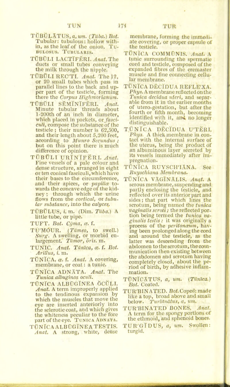 TUBULATUS,a,«m. (Tuba.) Bat. Tubular: tubulous: hollow with- in, as the leaf of the onion. Tu- BUL08US. TtTBULARlS. TUBULI LACTlFERI. Anat. The duets or small tubes conveying the milk through the nipple. TUBULI REC'TI. Anat. The 12, or 20 small tubes which pass in parallel lines to the back and up- per part of the testicle, forming there the Corpus Highmorianum. TObOLI SEMlNlFERI. Anat. Minute tubular threads about l-200th of an inch in diameter, which placed in packets, ox fasci- culi, compose the substance of the testicle ; their number is 62,500, and their length about 5,200 feet, according to Munro Secundus ; but on this point there is much difference of opinion, TUBULI URlNIFERI. Anat. Fine vessels of a pale colour and dense structure, arranged in eight or ten conical fasciculi, which have their bases to the circumference, and their apices, or papilla: to- wards the concave edge of the kid- ney ; through which the urine flows from the cortical, ox tubu- lar substance, into the calyces. TUBfJLUS, i. m. (Dim. Tilba.) A little tube, or pipe. TUFT. Bot. Cyma, a. f. TU'MOUR. (Tilmeo, to swell.) Surg. A swelling, or morbid en- largement. Tumor, oris. m. TUNIC. Anat. Tunica, ce. f. Bot. AriUus, i. m. TUNICA, a. f. Anat. A covering, membrane, or coat: a tunic. TUNICA ADNATA. Anat. The Tunica albuginea oculi. TOnTCA ALBUGINEA QcOlI. Anat. A term improperly applied to the tendinous expansion by which the muscles that move the eye are inserted anteriorly into the sclerotic coat, and which gives the whiteness peculiar to the fore part of the eye. Tunica Adnata. TONIC A ALBUGINEA TF.STIS. Anat. A strong, white, dense membrane, forming the immedi- ate covering, or proper capsule of the testicle. TtTNICA COMMUNIS. Anal. A tunic surrounding the spermatic cord and testicle, composed of the expanded fibres of the cremaster muscle and fine connecting cellu- lar membrane. TUNICA DECIDUA REFLE'XA. Pbys. A membrane reflected on the Tunica decidua uteri, and separ- able from it in the earlier months of utero-gestation, but after the fourth or fifth month, becoming identified with it, ami no longer distinguishable. TUNICA DECIDUA U'TERI. Phys. A thick membrane in con- tact with the internal surface of the uterus, being the product of an albuminous layer secreted by its vessels immediately after im- pregnation. TUNICA RUYSCH'IANA. See Ruyscliiana Membrana. TUNICA VAGINALIS. Anat. A serous membrane, suspending and partly enclosing the testicle, and reflected over its anterior part and sides; that part which lines the scrotum, being named the tunica vaginalis scroti ; the reflected por- tion being termed the tunica va- ginalis testis: it was originally a process of the peritonaeum, hav- ing been prolonged along the cord and around the testicle, as the latter was descending from tire abdomen to thescrotum,thecoin- munication then existing between the abdomen and scrotum having completely closed, about the pe- riod of birth, by adhesive inflam- mation. TtlNlCATUS, a, um. (Tunica.) Bot. Coated. TUR'BINATED. Bot.Coped: made like a top, broad above and small below. Turblndtus, a, um. TUR'BINATED BONES. Anat. A term for the spongy portions of the ethmoid, and sphenoid bones. TUR'GlDUS, a, um. Swollen: turgid.