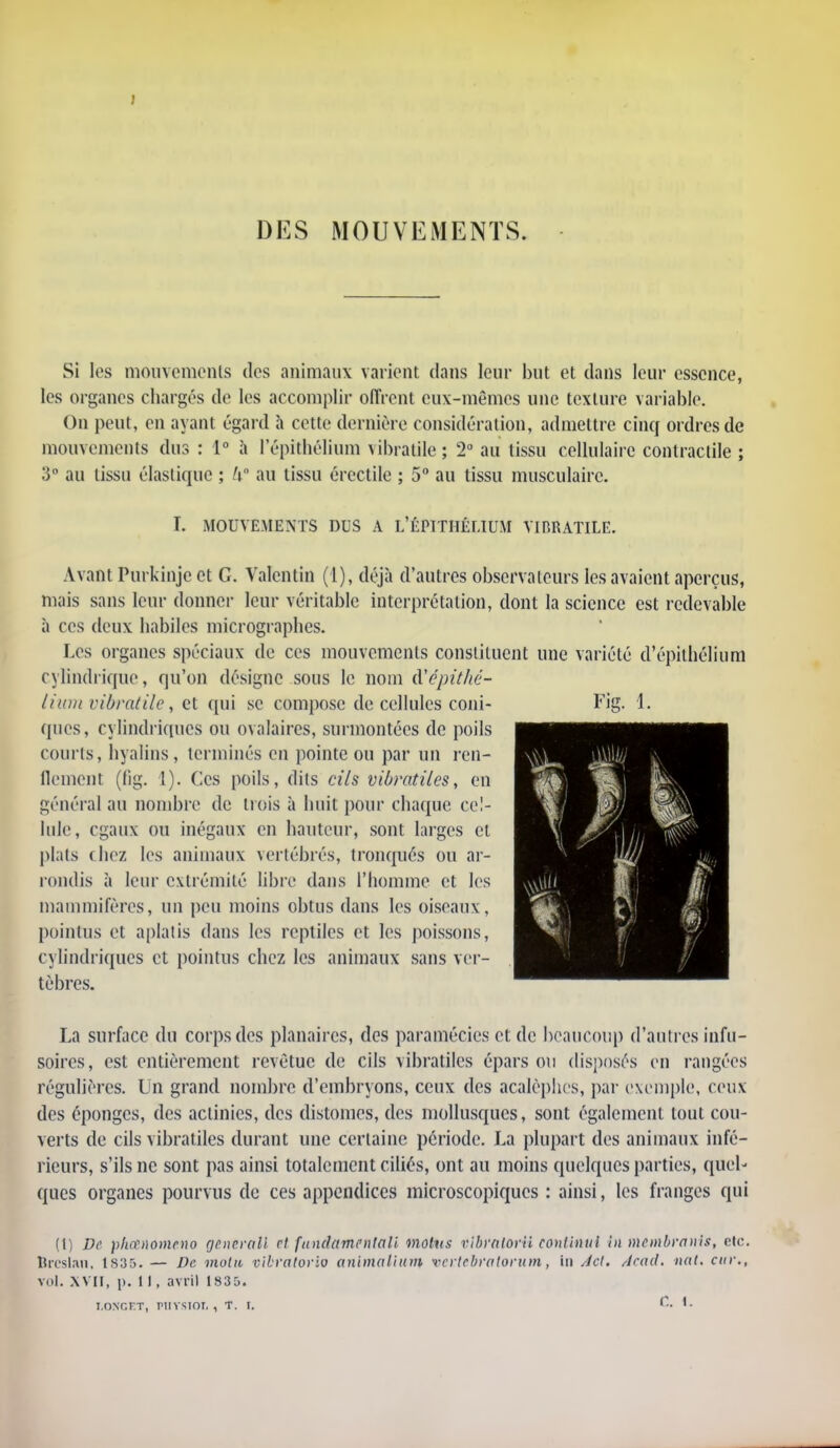 DES MOUVEMENTS. Si les mouvements des animaux varient dans leur but et dans leur essence, les organes chargés de les accomplir offrent eux-mêmes une texture variable. On peut, en ayant égard h cette dernière considération, admettre cinq ordres de mouvements dus : 1° à Pépithélium vibratile; 2° au tissu cellulaire contractile ; 3° au tissu élastique ; U au tissu érectile ; 5° au tissu musculaire. I. MOUVEMENTS DUS A L'ÉPTTIIÉUUM VIBRATILE. Avant Purkïnjc et G. Valcntin (1), déjà d'autres observateurs les avaient aperçus, mais sans leur donner leur véritable interprétation, dont la science est redevable à ces deux habiles micrographes. Les organes spéciaux de ces mouvements constituent une variété d'épithélium cylindrique, qu'on désigne sous le nom d'épithé- lium vibrâtile, et qui se compose de cellules coni- ques, cylindriques ou ovalaires, surmontées de poils courts, hyalins, terminés en pointe ou par un ren- flement (lig. I). Ces poils, dits cils vibratiles, en général au nombre de trois à huit pour chaque cel- lule, egaux ou inégaux en hauteur, sont larges cl plais chez les animaux vertébrés, tronqués ou ar- rondis à leur extrémité libre dans l'homme et les mammifères, un peu moins obtus dans les oiseaux, pointus et aplatis dans les reptiles et les poissons, cylindriques et pointus chez les animaux sans ver- tèbres. La surface du corps des planaires, des paramécies et de beaucoup d'autres infu- soircs, est entièrement revêtue de cils vibratiles épars ou disposés en rangées régulières. Un grand nombre d'embryons, ceux des acalèphes, par exemple, ceux des éponges, des actinies, des distomes, des mollusques, sont également tout cou- verts de cils vibratiles durant une certaine période. La plupart des animaux infé- rieurs, s'ils ne sont pas ainsi totalement ciliés, ont au moins quelques parties, quel- ques organes pourvus de ces appendices microscopiques : ainsi, les franges qui (l) De phetnomeno generall rt fundamentali motus vibralorti co>iti»ui in membranis, eic. Brcslau, ts35. — De motti vibratorio animallnm vevtebratorum, in Act. Âcad. nat. car., vol. XVII, p. 11, avril 1835. I.ONGFT, PtlYSIOL , T. I. C. I.