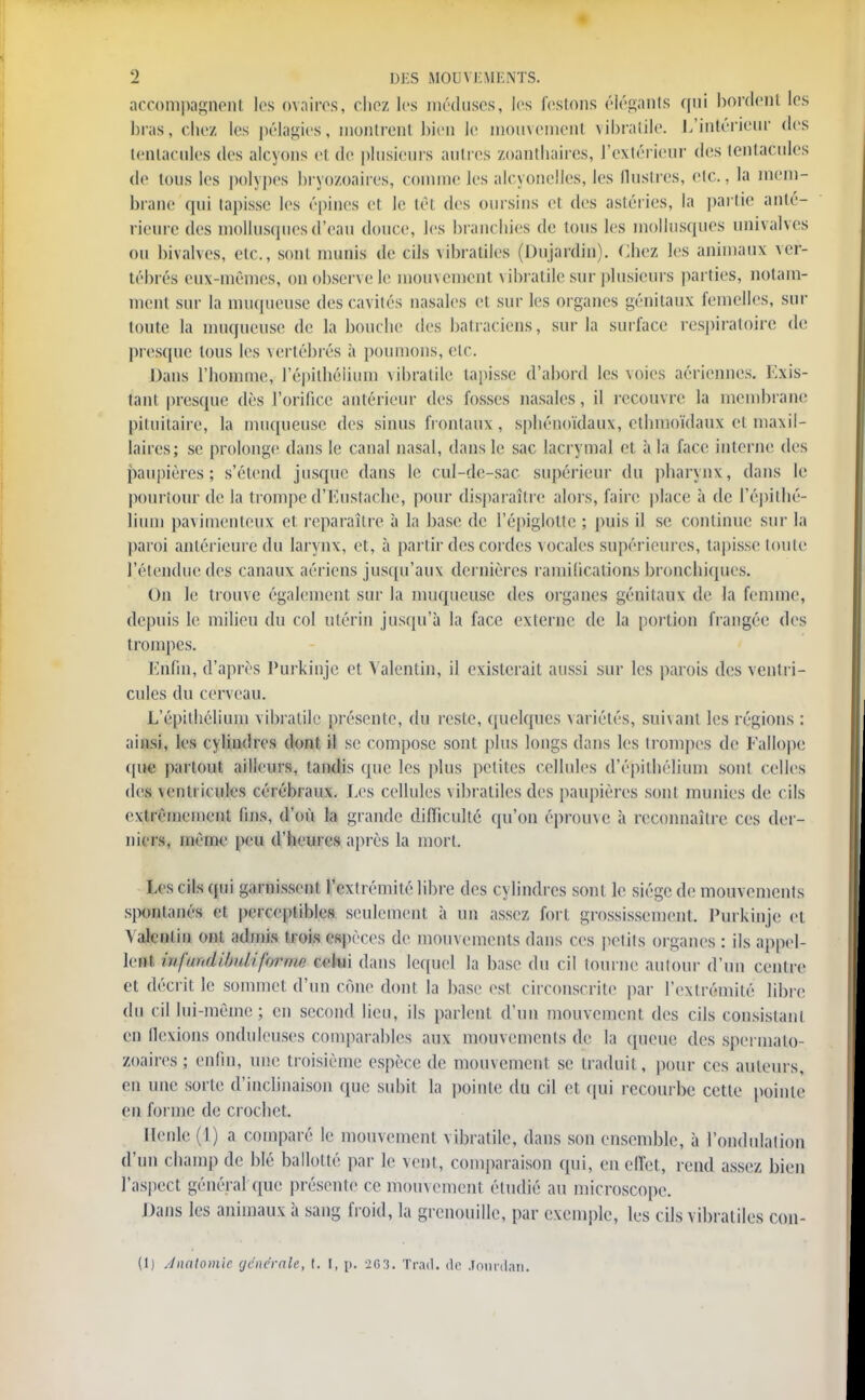 accompagnent les ovaires, chez les méduses, les festons élégants qui bordent 1rs liras, chez les pélagies, montrent bien le mouvement vibratile. L'intérieur des tentacules des alcyons el do plusieurs autres zoanthaires, l'extérieur des tentacules de tous les polypes bryozoaires, comme les alcyonelles, les (lustres, etc., la mem- brane qui tapisse les épines et le têt des oursins et des astéries, la partie anté- rieure des mollusques d'eau douce, les branchies de tous les mollusques univalves ou bivalves, etc., sont munis de cils vibratiles (DujardJn). Chez les animaux ver- tébrés eux-mêmes, on observe le mouvemenl vibratile sur plusieurs parties, notam- ment sur la muqueuse des cavités nasales et sur les organes génitaux femelles, sur toute la muqueuse de la bouche des batraciens, sur la surface respiratoire de presque tous les vertébrés à poumons, etc. Dans l'homme, l'épithélium vibratile tapisse d'abord les voies aériennes. Lxis- fant presque dès l'orifice antérieur des fosses nasales, il recouvre la membrane pituitaire, la muqueuse des sinus frontaux, sphénoïdaux, ethmoïdaux et maxil- laires; se prolonge dans le canal nasal, dans le sac lacrymal et à la face interne des paupières; s'étend jusque dans le cul-de-sac supérieur du pharynx, dans le pourtour de la trompe d'Eustache, pour disparaître alors, faire place à de l'épithé- lium pavimenteux et reparaître à la base de l'épiglottc ; puis il se continue sur la paroi antérieure du larynx, et, à partir des cordes vocales supérieures, tapisse toute rétendue des canaux aériens jusqu'aux dernières ramifications bronchiques. On le trouve également sur la muqueuse des organes génitaux de la femme, depuis le milieu du col utérin jusqu'à la face externe de la portion frangée des trompes. Enfin, d'après Purkinjc et Yalentin, il existerait aussi sur les parois des ventri- cules du cerveau. L'épithélium vibratile présente, du reste, quelques variétés, suivant les régions : ainsi, les cylindres dont il se compose sont plus longs dans les trompes de Faliope (pie partout ailleurs, tandis que les plus petites cellules d'épithélium sont celles des ventricules cérébraux. Les cellules vibratiles des paupières sont munies de cils extrêmement fins, d'où la grande difficulté qu'on éprouve à reconnaître ces der- niers, même pou d'heures après la mort. Los cils qui garnissent l'extrémité libre des cylindres sont le siège de mouvements spontanés el perceptibles seulement à un assez fort grossissement. Purkinjc et Yalentin ont admis trois espèces de mouvements dans ces petits organes : ils appel- lent infiwdibuLiforme celui dans lequel la hase du cil tourne autour d'un centre et décrit le sommet d'un cône dont la base est circonscrite par l'extrémité libre du cil lui-même; en second lieu, ils parlent d'un mouvement des cils consistant en flexions onduleuscs comparables aux mouvements de la queue des spermato- zoaires; enfin, une troisième espèce de mouvemenl se traduit, pour ces auteurs, en une sorte d'inclinaison que subit la pointe du cil et qui recourbe cette pointe en forme de crochet. Houle (1) a comparé le mouvement v ibratile, dans son ensemble, à l'ondulation d'un champ do blé ballotté par le vent, comparaison qui, en effet, rend assez bien l'aspect général (pie présente ce mouvemenl étudié au microscope. Dans les animaux à sang froid, la grenouille, par exemple, les cils vibratiles cojtt-