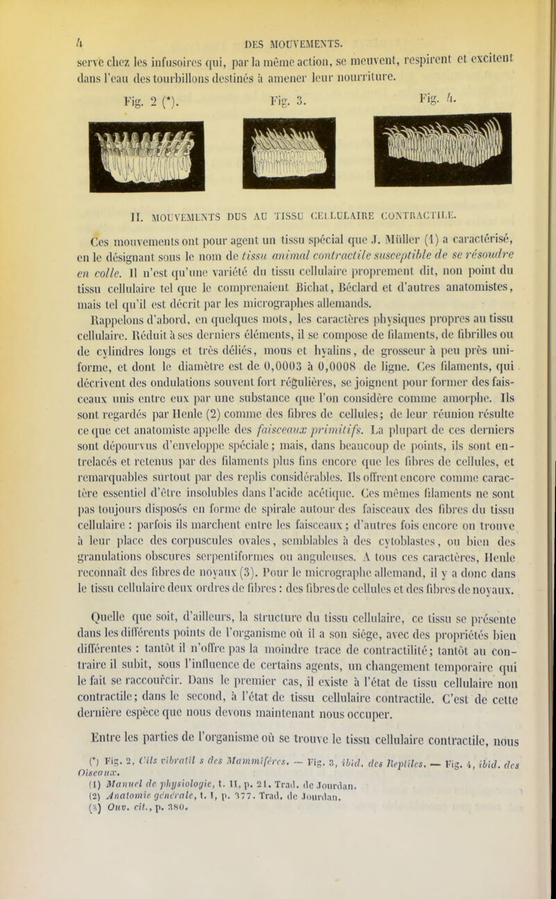 serve chez les infusoires qui, parla mémo action, se meuvent, respirent cl cxcilcn dans l'eau des tourbillons destinés à amener leur nourriture. II. MOUVEMENTS DUS AU TISSU CELLULAIRE CONTRACTILE. Ces mouvements ont pour agent un tissu spécial que J. MûUer (1) a caractérisé, en le désignant sous le nom de tissu animal contractile susceptible de se résoudre en colle. 11 n'est qu'une variété du tissu cellulaire proprement dit, non point du tissu cellulaire tel que le comprenaient Bichat, Béclard et d'autres anatomistes, mais tel qu'il est décrit par les micrographes allemands. Rappelons d'abord, en quelques mots, les caractères physiques propres au tissu cellulaire. Réduit à ses derniers éléments, il se compose de filaments, de fibrilles ou de cylindres longs et très déliés, mous et hyalins, de grosseur à peu près uni- forme, et dont le diamètre est de 0,0003 à 0,0008 de ligne. Ces filaments, qui décrivent des ondulations souvent fort régulières, se joignent pour former des fais- ceaux unis entre eux par une substance que l'on considère comme amorphe. Ils sont regardés par Henle (2) comme des fibres de cellules; de leur réunion résulte ce que cet anatomistc appelle des faisceaux primitif*. La plupart de ces derniers sont dépourvus d'enveloppe spéciale; mais, dans beaucoup de points, ils sont en- trelacés et retenus par des filaments plus fins encore que les fibres de cellules, et remarquables surtout par des replis considérables. Ils offrent encore comme carac- tère essentiel d'être insolubles dans l'acide acétique. Ces mêmes filaments ne sont pas toujours disposés en forme de spirale autour des faisceaux des fibres du tissu cellulaire : parfois ils marchent entre les faisceaux; d'autres fois encore on trouve à leur place des corpuscules ovales, semblables à des cytoblastes, ou bien des granulations obscures serpentiformes ou anguleuses. A tous ces caractères, Henle reconnaît des libres de noyaux (3). Pour le micrographe allemand, il y a donc dans le tissu cellulaire deux ordres de fibres : des fibres de cellules et des fibres de noyaux. Quelle que soit, d'ailleurs, la structure du tissu cellulaire, ce tissu se présente dans les différents points de l'organisme où il a son siège, avec des propriétés bien différentes : tantôt il n'offre pas la moindre trace de contractilité; tantôt au con- traire il subit, sous l'influence de certains agents, un changement temporaire qui le fait se raccourcir. Dans le premier cas, il existe à l'état de tissu cellulaire non contractile; dans le second, à l'état de tissu cellulaire contractile. C'est de cette dernière espèce que nous devons maintenant nous occuper. Entre les parties de l'organisme où se trouve le tissu cellulaire contractile, nous (*) Fi5. 2, Cils vibratil s des Mammifères. - PIg. 3, ibid. des Reptiles. — Fig. 4, ibid. des Oiseaux. (1) Manuel de physiologie, t. II, p. 21. Tr.nl. de Jourdan. (2) Anatomie générale, t. I, p. T77. Tract, de Jourdan. (*) Ouv. cit., p. 3KO.