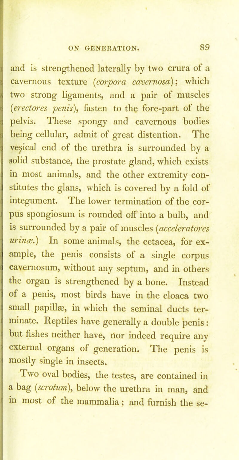 and is strengthened laterally by two crura of a cavernous texture (corpora cavernosa); which two strong ligaments, and a pair of muscles (erectores penis), fasten to the fore-part of the pelvis. These spongy and cavernous bodies being cellular, admit of great distention. The vesical end of the urethra is surrounded by a solid substance, the prostate gland, which exists in most animals, and the other extremity con- stitutes the glans, which is covered by a fold of integument. The lower termination of the cor- pus spongiosum is rounded off into a bulb, and is surrounded by a pair of muscles {acceleratorcs urince.) In some animals, the cetacea, for ex- ample, the penis consists of a single corpus cavernosum, without any septum, and in others the organ is strengthened by a bone. Instead of a penis, most birds have in the cloaca two small papillae, in which the seminal ducts ter- minate. Reptiles have generally a double penis : but fishes neither have, nor indeed require any external organs of generation. The penis is mostly single in insects. Two oval bodies, the testes, are contained in a bag {scrotum), below the urethra in man, and in most of the mammalia; and furnish the se-