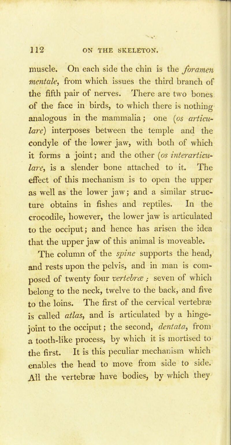 muscle. On each side the chin is the foramen mentale, from which issues the third branch of the fifth pair of nerves. There are two bones of the face in birds, to which there is nothing analogous in the mammalia; one (os articu- lar e) interposes between the temple and the Condyle of the lower jaw, with both of which it forms a joint; and the other (os interarticu- lare, is a slender bone attached to it. The effect of this mechanism is to open the upper as well as the lower jaw; and a similar struc- ture obtains in fishes and reptiles. In the crocodile, however, the lower jaw is articulated to the occiput; and hence has arisen the idea that the upper jaw of this animal is moveable. The column of the spine supports the head, and rests upon the pelvis, and in man is com- posed of twenty four vertebrae; seven of which belong to the neck, twelve to the back, and five to the loins. The first of the cervical vertebrae is called atlas, and is articulated by a hinge- joint to the occiput; the second, dentata, from a tooth-like process, by which it is mortised to the first. It is this peculiar mechanism which enables the head to move from side to side. AH the vertebrae have bodies, by which they