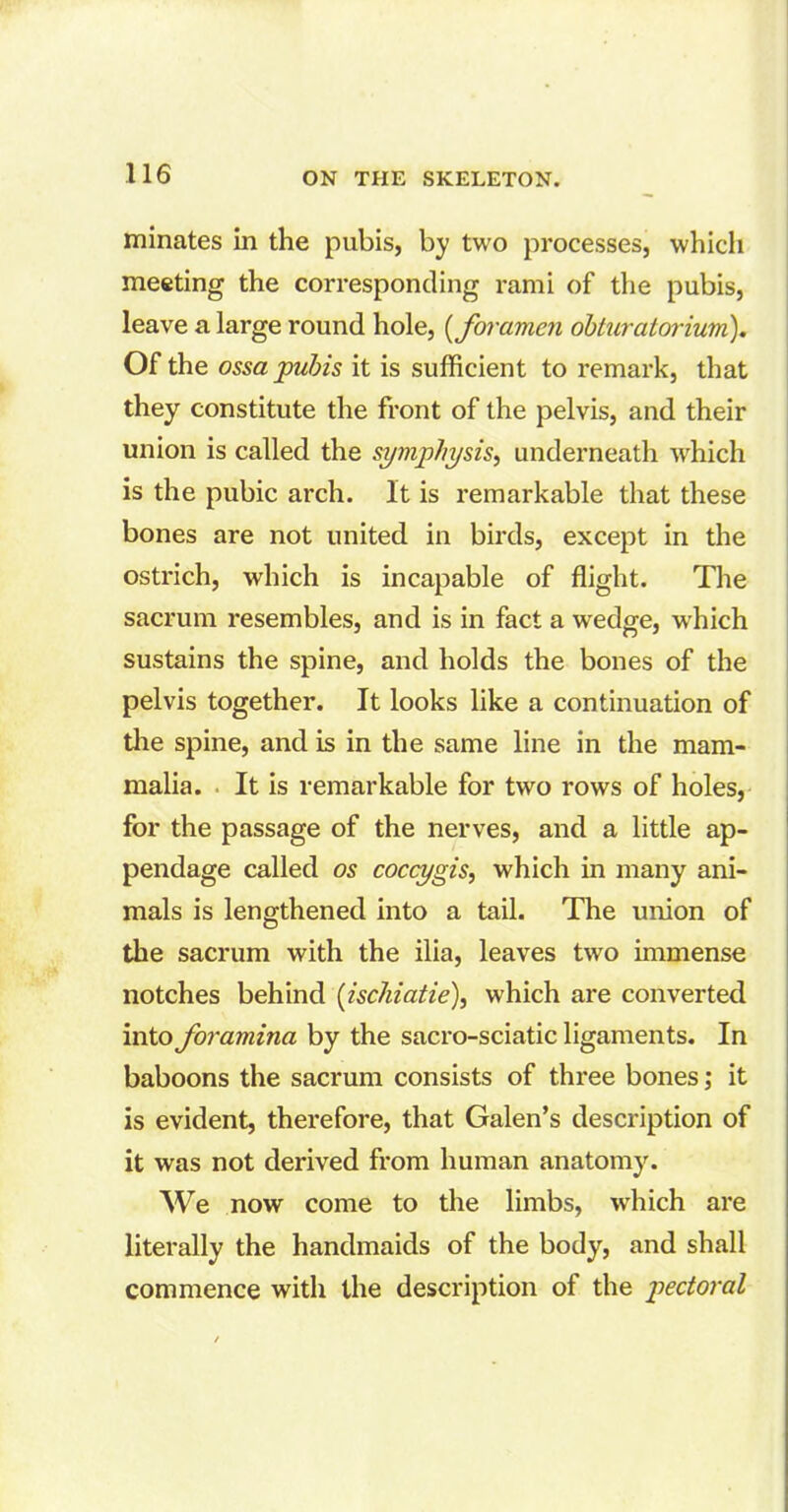 ruinates in the pubis, by two processes, which meeting the corresponding rami of the pubis, leave a large round hole, (foramen obturatorium). Of the ossa pubis it is sufficient to remark, that they constitute the front of the pelvis, and their union is called the symphysis, underneath which is the pubic arch. It is remarkable that these bones are not united in birds, except in the ostrich, which is incapable of flight. The sacrum resembles, and is in fact a wedge, which sustains the spine, and holds the bones of the pelvis together. It looks like a continuation of the spine, and is in the same line in the mam- malia. . It is remarkable for two rows of holes, for the passage of the nerves, and a little ap- pendage called os coccygis, which in many ani- mals is lengthened into a tail. The union of the sacrum with the ilia, leaves two immense notches behind (ischiatie), which are converted into foramina by the sacro-sciatic ligaments. In baboons the sacrum consists of three bones; it is evident, therefore, that Galen’s description of it was not derived from human anatomy. We now come to the limbs, which are literally the handmaids of the body, and shall commence with the description of the pectoral