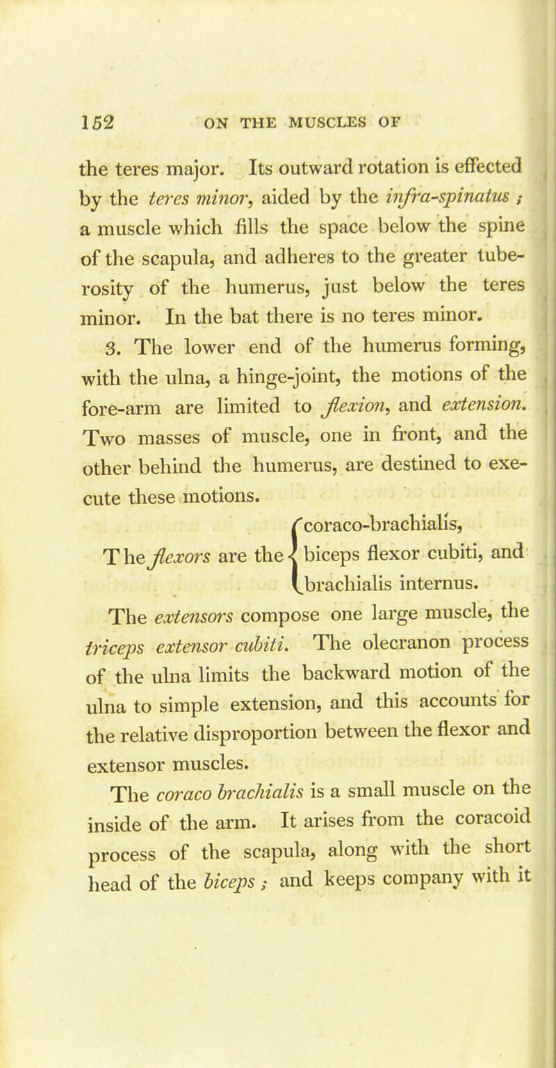 the teres major. Its outward rotation is effected by the teres minor, aided by the infraspinatus a muscle which fills the space below the spine of the scapula, and adheres to the greater tube- rosity of the humerus, just below the teres minor. In the bat there is no teres minor. 3. The lower end of the humerus forming, with the ulna, a hinge-joint, the motions of the fore-arm are limited to flexion, and extension. Two masses of muscle, one in front, and the other behind the humerus, are destined to exe- T he, flexors are the cute these motions. 'coraco-brachialis, biceps flexor cubiti, and ^brachialis internus. The extensors compose one large muscle, the triceps extensor cubiti. The olecranon process of the ulna limits the backward motion of the ulna to simple extension, and this accounts for the relative disproportion between the flexor and extensor muscles. The coraco brachialis is a small muscle on the inside of the arm. It arises from the coracoid process of the scapula, along with the short head of the biceps; and keeps company with it