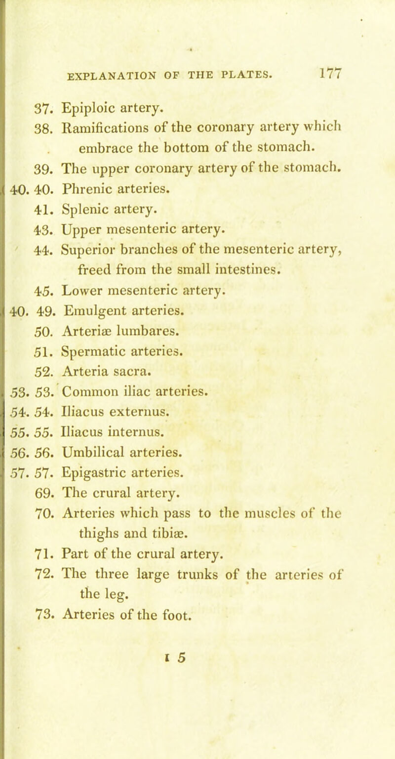 37. Epiploic artery. 38. Ramifications of the coronary artery which embrace the bottom of the stomach. 39. The upper coronary artery of the stomach. 40. 40. Phrenic arteries. 41. Splenic artery. 43. Upper mesenteric artery. 44. Superior branches of the mesenteric artery, freed from the small intestines. 45. Lower mesenteric artery. 40. 49. Emulgent arteries. 50. Arteriae lumbares. 51. Spermatic arteries. 52. Arteria sacra. 53. 53. Common iliac arteries. 54. 54. Iliacus externus. 55. 55. Iliacus internus. 56. 56. Umbilical arteries. 57. 57. Epigastric arteries. 69. The crural artery. 70. Arteries which pass to the muscles of the thighs and tibiae. 71. Part of the crural artery. 72. The three large trunks of the arteries of the leg. 73. Arteries of the foot.