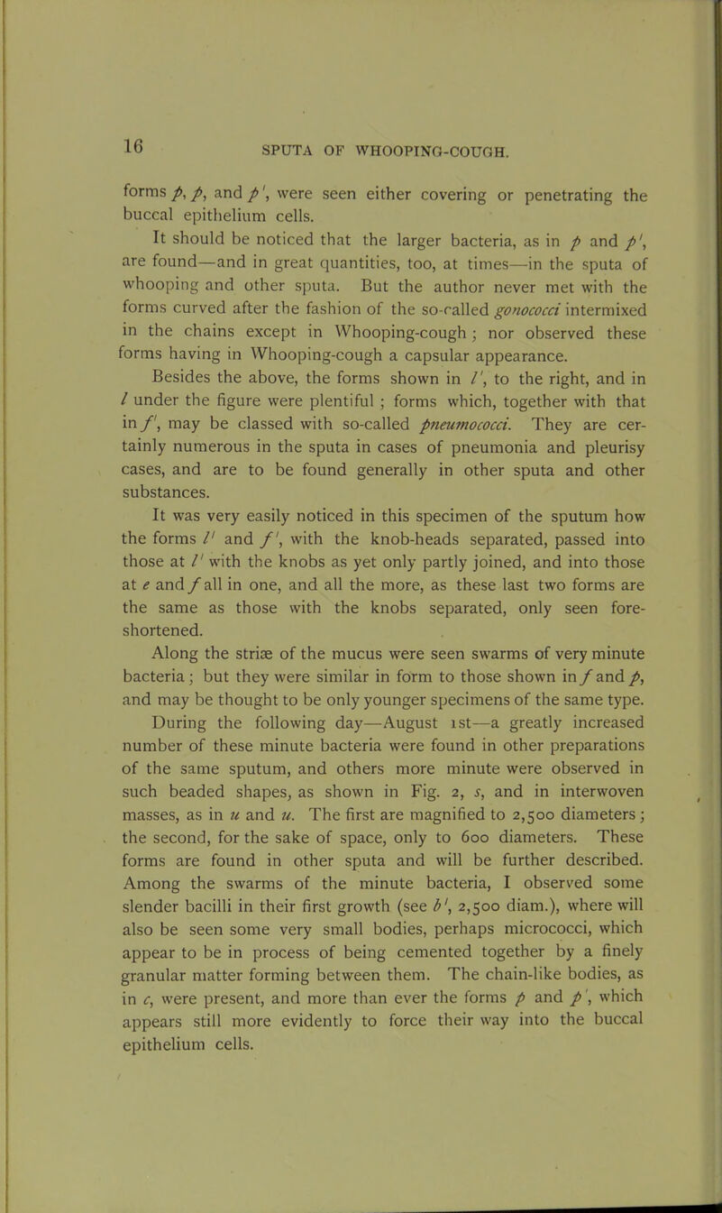 forms p, and p', were seen either covering or penetrating the buccal epithelium cells. It should be noticed that the larger bacteria, as in p and are found—and in great quantities, too, at times—in the sputa of whooping and other sputa. But the author never met with the forms curved after the fashion of the so-called gonococci intermixed in the chains except in Whooping-cough ; nor observed these forms having in Whooping-cough a capsular appearance. Besides the above, the forms shown in to the right, and in / under the figure were plentiful ; forms which, together with that in f\ may be classed with so-called pneumococci. They are cer- tainly numerous in the sputa in cases of pneumonia and pleurisy cases, and are to be found generally in other sputa and other substances. It was very easily noticed in this specimen of the sputum how the forms V and /', with the knob-heads separated, passed into those at /' with the knobs as yet only partly joined, and into those at e and f all in one, and all the more, as these last two forms are the same as those with the knobs separated, only seen fore- shortened. Along the striae of the mucus were seen swarms of very minute bacteria ; but they were similar in form to those shown in f and /, and may be thought to be only younger specimens of the same type. During the following day—August ist—a greatly increased number of these minute bacteria were found in other preparations of the same sputum, and others more minute were observed in such beaded shapes, as shown in Fig. 2, s, and in interwoven masses, as in u and u. The first are magnified to 2,500 diameters; the second, for the sake of space, only to 600 diameters. These forms are found in other sputa and will be further described. Among the swarms of the minute bacteria, I observed some slender bacilli in their first growth (see b', 2,500 diam.), where will also be seen some very small bodies, perhaps micrococci, which appear to be in process of being cemented together by a finely granular matter forming between them. The chain-like bodies, as in c, were present, and more than ever the forms p and p', which appears still more evidently to force their way into the buccal epithelium cells.