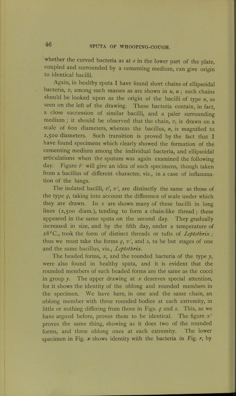 SPUTA OF WHOOPING-COUGH. whether the curved bacteria as at o in the lower part of the plate, coupled and surrounded by a cementing medium, can give origin to identical bacilli. Again, in healthy sputa I have found short chains of ellipsoidal bacteria, v, among such masses as are shown in u, u; such chains should be looked upon as the origin of the bacilli of type n, as seen on the left of the drawing. These bacteria contain, in fact, a close succession of similar bacilli, and a paler surrounding medium ; it should be observed that the chain, v, is drawn on a scale of 600 diameters, whereas the bacillus, n, is magnified to 2,5°° diameters. Such transition is proved by the fact that I have found specimens which clearly showed the formation of the cementing medium among the individual bacteria, and ellipsoidal articulations when the sputum was again examined the following day. Figure b' will give an idea of such specimens, though taken from a bacillus of different character, viz., in a case of inflamma- tion of the lungs. The isolated bacilli, v\ v', are distinctly the same as those of the type q, taking into account the difference of scale under which they are drawn. In 2 are shown many of these bacilli in long lines (2,500 diam.), tending to form a chain-like thread ; these appeared in the same sputa on the second day. They gradually increased in size, and by the fifth day, under a temperature of 28°C., took the form of distinct threads or tufts of Leptothrix ; thus we must take the forms q, v', and z, to be but stages of one and the same bacillus, viz., Leptothrix. The beaded forms, x, and the rounded bacteria of the type y, were also found in healthy sputa, and it is evident that the rounded members of such beaded forms are the same as the cocci in group y. The upper drawing at x deserves special attention, for it shows the identity of the oblong and rounded members in the specimen. We have here, in one and the same chain, an oblong member with three rounded bodies at each extremity, in little or nothing differing from those in Figs, q and z. This, as we have argued before, proves them to be identical. The figure x‘ proves the same thing, showing as it does two of the rounded forms, and three oblong ones at each extremity. The lower specimen in Fig. x shows identity with the bacteria in Fig. r, by