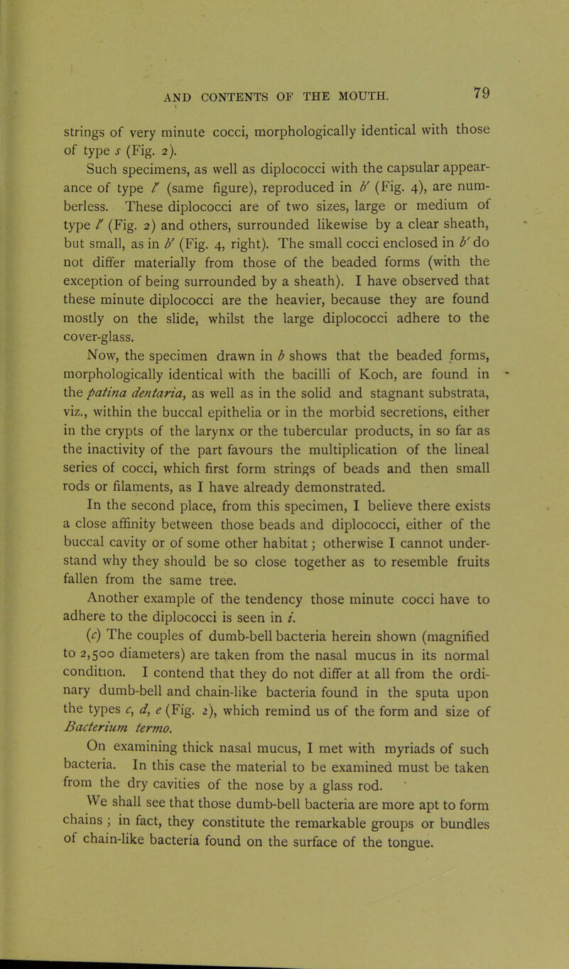 strings of very minute cocci, morphologically identical with those of type s (Fig. 2). Such specimens, as well as diplococci with the capsular appear- ance of type / (same figure), reproduced in b' (Fig. 4), are num- berless. These diplococci are of two sizes, large or medium of type l' (Fig. 2) and others, surrounded likewise by a clear sheath, but small, as in b' (Fig. 4, right). The small cocci enclosed in b' do not differ materially from those of the beaded forms (with the exception of being surrounded by a sheath). I have observed that these minute diplococci are the heavier, because they are found mostly on the slide, whilst the large diplococci adhere to the cover-glass. Now, the specimen drawn in b shows that the beaded forms, morphologically identical with the bacilli of Koch, are found in the patina dentaria, as well as in the solid and stagnant substrata, viz., within the buccal epithelia or in the morbid secretions, either in the crypts of the larynx or the tubercular products, in so far as the inactivity of the part favours the multiplication of the lineal series of cocci, which first form strings of beads and then small rods or filaments, as I have already demonstrated. In the second place, from this specimen, I believe there exists a close affinity between those beads and diplococci, either of the buccal cavity or of some other habitat; otherwise I cannot under- stand why they should be so close together as to resemble fruits fallen from the same tree. Another example of the tendency those minute cocci have to adhere to the diplococci is seen in i. (c) The couples of dumb-bell bacteria herein shown (magnified to 2,500 diameters) are taken from the nasal mucus in its normal condition. I contend that they do not differ at all from the ordi- nary dumb-bell and chain-like bacteria found in the sputa upon the types c, d, e (Fig. 2), which remind us of the form and size of Bacterium termo. On examining thick nasal mucus, I met with myriads of such bacteria. In this case the material to be examined must be taken from the dry cavities of the nose by a glass rod. We shall see that those dumb-bell bacteria are more apt to form chains ; in fact, they constitute the remarkable groups or bundles of chain-like bacteria found on the surface of the tongue.