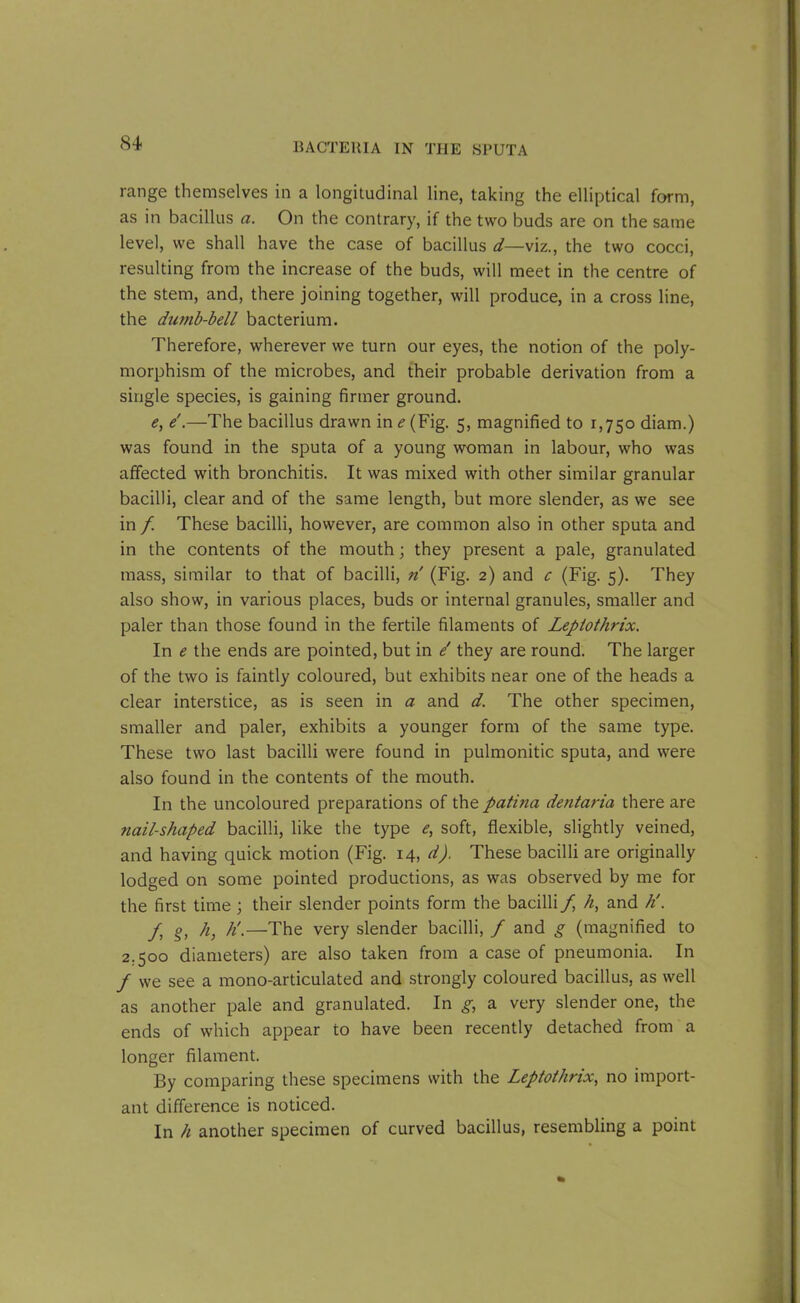 range themselves in a longitudinal line, taking the elliptical form, as in bacillus a. On the contrary, if the two buds are on the same level, we shall have the case of bacillus d—viz., the two cocci, resulting from the increase of the buds, will meet in the centre of the stem, and, there joining together, will produce, in a cross line, the dumb-bell bacterium. Therefore, wherever we turn our eyes, the notion of the poly- morphism of the microbes, and their probable derivation from a single species, is gaining firmer ground. e, e'.—The bacillus drawn in e (Fig. 5, magnified to 1,750 diam.) was found in the sputa of a young woman in labour, who was affected with bronchitis. It was mixed with other similar granular bacilli, clear and of the same length, but more slender, as we see in /. These bacilli, however, are common also in other sputa and in the contents of the mouth; they present a pale, granulated mass, similar to that of bacilli, n (Fig. 2) and c (Fig. 5). They also show, in various places, buds or internal granules, smaller and paler than those found in the fertile filaments of Leplothrix. In e the ends are pointed, but in e' they are round. The larger of the two is faintly coloured, but exhibits near one of the heads a clear interstice, as is seen in a and d. The other specimen, smaller and paler, exhibits a younger form of the same type. These two last bacilli were found in pulmonitic sputa, and were also found in the contents of the mouth. In the uncoloured preparations of the patma dentaria there are nail-shaped bacilli, like the type e, soft, flexible, slightly veined, and having quick motion (Fig. 14, d). These bacilli are originally lodged on some pointed productions, as was observed by me for the first time ; their slender points form the bacilli / h, and Ji. /, §, h, h\—The very slender bacilli, / and g (magnified to 2.500 diameters) are also taken from a case of pneumonia. In / we see a mono-articulated and strongly coloured bacillus, as well as another pale and granulated. In g, a very slender one, the ends of which appear to have been recently detached from a longer filament. By comparing these specimens with the Leptothrix, no import- ant difference is noticed. In h another specimen of curved bacillus, resembling a point