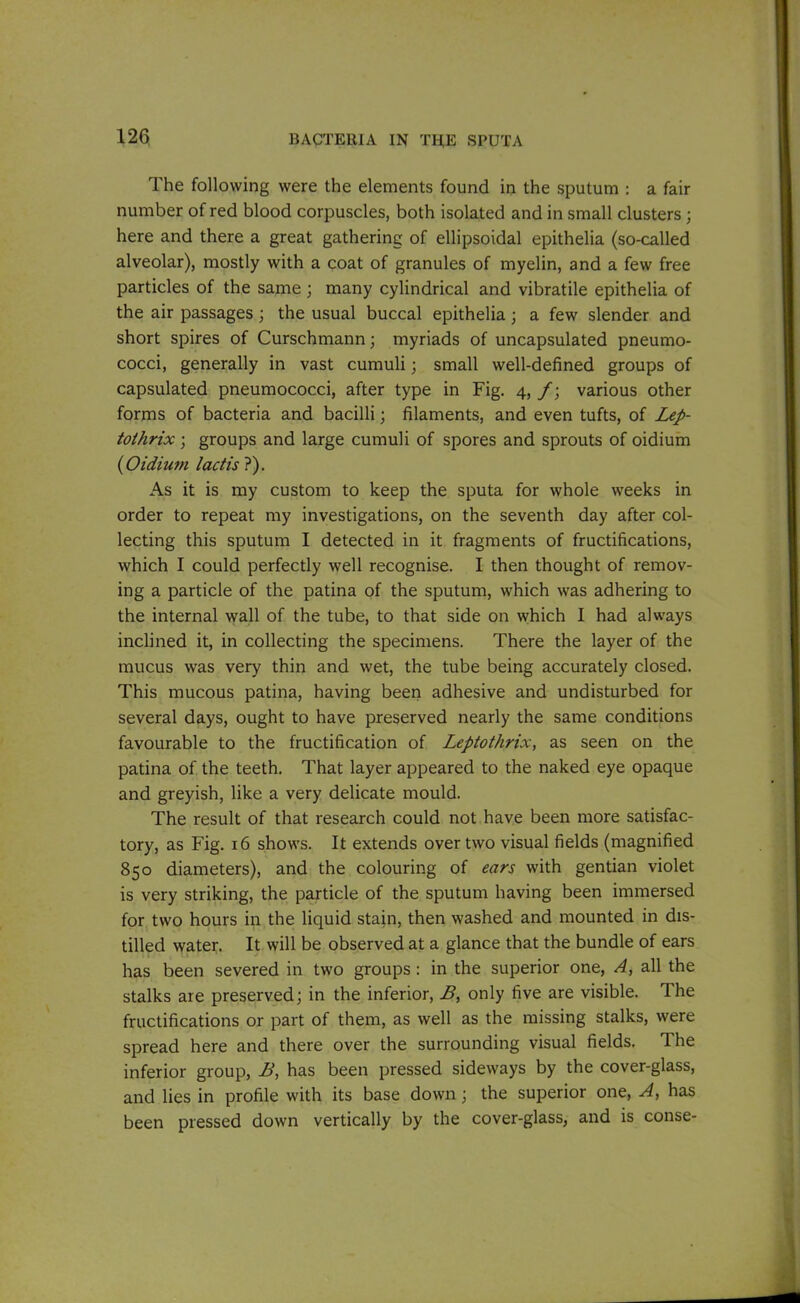 The following were the elements found in the sputum : a fair number of red blood corpuscles, both isolated and in small clusters ; here and there a great gathering of ellipsoidal epithelia (so-called alveolar), mostly with a coat of granules of myelin, and a few free particles of the same ; many cylindrical and vibratile epithelia of the air passages; the usual buccal epithelia; a few slender and short spires of Curschmann; myriads of uncapsulated pneumo- cocci, generally in vast cumuli; small well-defined groups of capsulated pneumococci, after type in Fig. 4, /; various other forms of bacteria and bacilli; filaments, and even tufts, of Lep- tothrix ; groups and large cumuli of spores and sprouts of oidium (Oidium lactis ?). As it is my custom to keep the sputa for whole weeks in order to repeat my investigations, on the seventh day after col- lecting this sputum I detected in it fragments of fructifications, which I could perfectly well recognise. I then thought of remov- ing a particle of the patina of the sputum, which was adhering to the internal wall of the tube, to that side on which I had always inclined it, in collecting the specimens. There the layer of the mucus was very thin and wet, the tube being accurately closed. This mucous patina, having been adhesive and undisturbed for several days, ought to have preserved nearly the same conditions favourable to the fructification of Leptothrix, as seen on the patina of the teeth. That layer appeared to the naked eye opaque and greyish, like a very delicate mould. The result of that research could not have been more satisfac- tory, as Fig. 16 shows. It extends over two visual fields (magnified 850 diameters), and the colouring of ears with gentian violet is very striking, the particle of the sputum having been immersed for two hours in the liquid stain, then washed and mounted in dis- tilled water. It will be observed at a glance that the bundle of ears has been severed in two groups: in the superior one, A, all the stalks are preserved; in the inferior, B, only five are visible. The fructifications or part of them, as well as the missing stalks, were spread here and there over the surrounding visual fields. The inferior group, B, has been pressed sideways by the cover-glass, and lies in profile with its base down; the superior one, A, has been pressed down vertically by the cover-glass, and is conse-