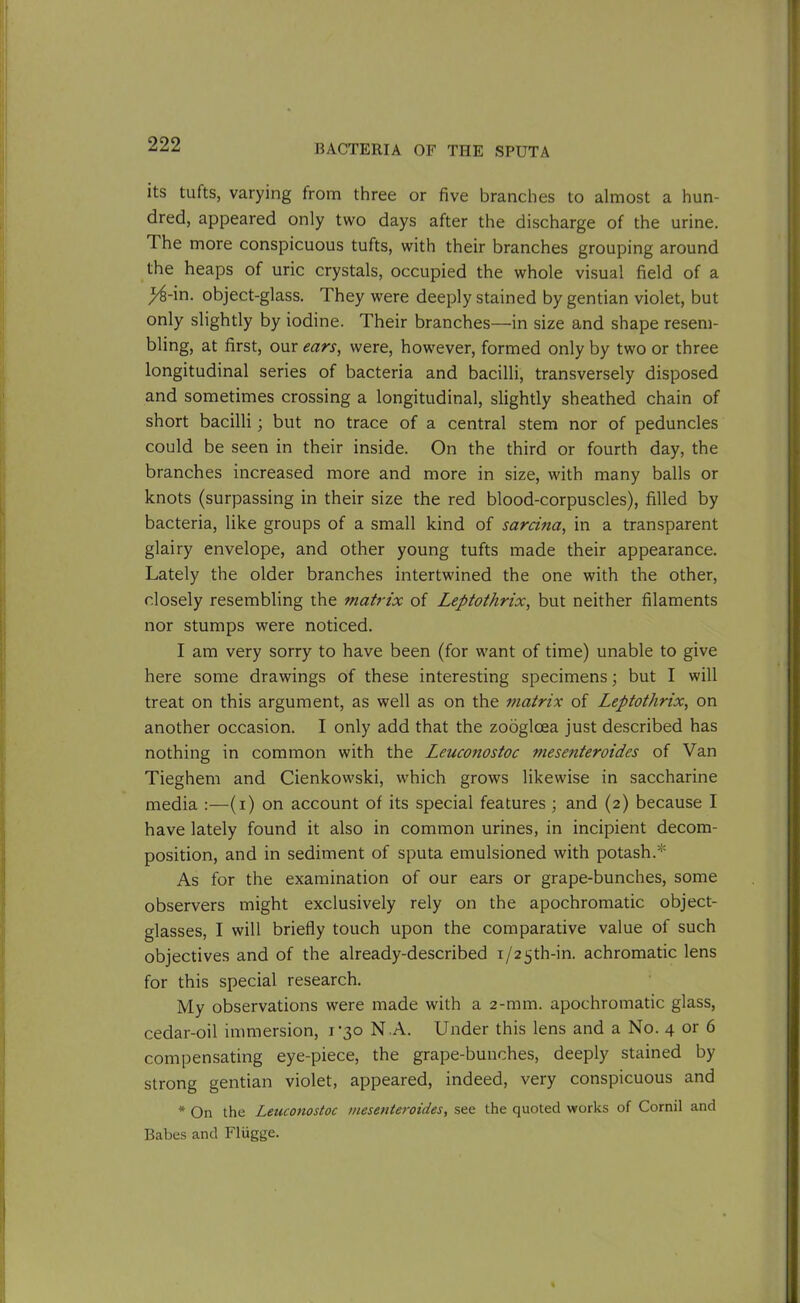 its tufts, varying from three or five branches to almost a hun- dred, appeared only two days after the discharge of the urine. 1 he more conspicuous tufts, with their branches grouping around the heaps of uric crystals, occupied the whole visual field of a ^4-in. object-glass. They were deeply stained by gentian violet, but only slightly by iodine. Their branches—in size and shape resem- bling, at first, our ears, were, however, formed only by two or three longitudinal series of bacteria and bacilli, transversely disposed and sometimes crossing a longitudinal, slightly sheathed chain of short bacilli; but no trace of a central stem nor of peduncles could be seen in their inside. On the third or fourth day, the branches increased more and more in size, with many balls or knots (surpassing in their size the red blood-corpuscles), filled by bacteria, like groups of a small kind of sarcina, in a transparent glairy envelope, and other young tufts made their appearance. Lately the older branches intertwined the one with the other, closely resembling the matrix of Leptothrix, but neither filaments nor stumps were noticed. I am very sorry to have been (for want of time) unable to give here some drawings of these interesting specimens; but I will treat on this argument, as well as on the matrix of Leptothrix, on another occasion. I only add that the zooglcea just described has nothing in common with the Leuconostoc mesenteroides of Van Tieghem and Cienkowski, which grows likewise in saccharine media :—(i) on account of its special features ; and (2) because I have lately found it also in common urines, in incipient decom- position, and in sediment of sputa emulsioned with potash.* As for the examination of our ears or grape-bunches, some observers might exclusively rely on the apochromatic object- glasses, I will briefly touch upon the comparative value of such objectives and of the already-described i/25th-in. achromatic lens for this special research. My observations were made with a 2-mm. apochromatic glass, cedar-oil immersion, 1-30 N A. Under this lens and a No. 4 or 6 compensating eye-piece, the grape-bunches, deeply stained by strong gentian violet, appeared, indeed, very conspicuous and * On the Leuconostoc mesenteroides, see the quoted works of Cornil and Babes and Fliigge.