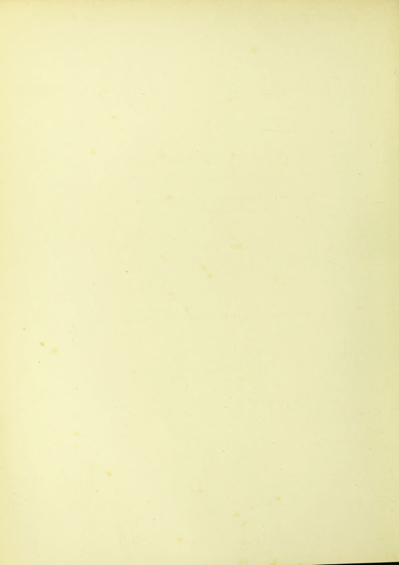 r.  r -4 -,V' A V *: % « L ► i i * ♦ ■' **«>»^»* 1 '4- f. » <% -S<i k - m \ - y . * *» • . - ■,.i ,N V 4 \ • I, w r-<, *s