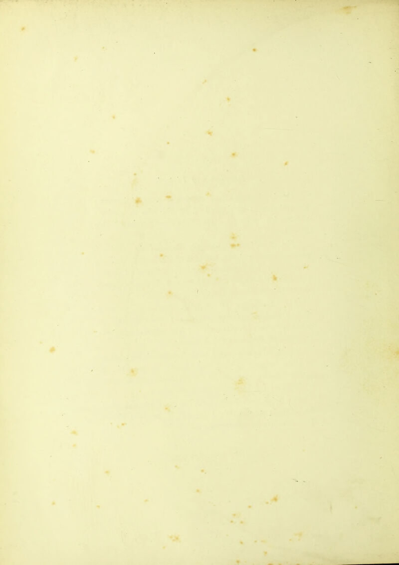 f < T 1 I ‘w§ f •i 'i- % % 0 - •> I k f ft ■’ r # % <•»„ P » c (., i H I '•- ■ '*■ ( '-•'> i* * t I 4 f ♦ •>. . .. -f v\ f » •