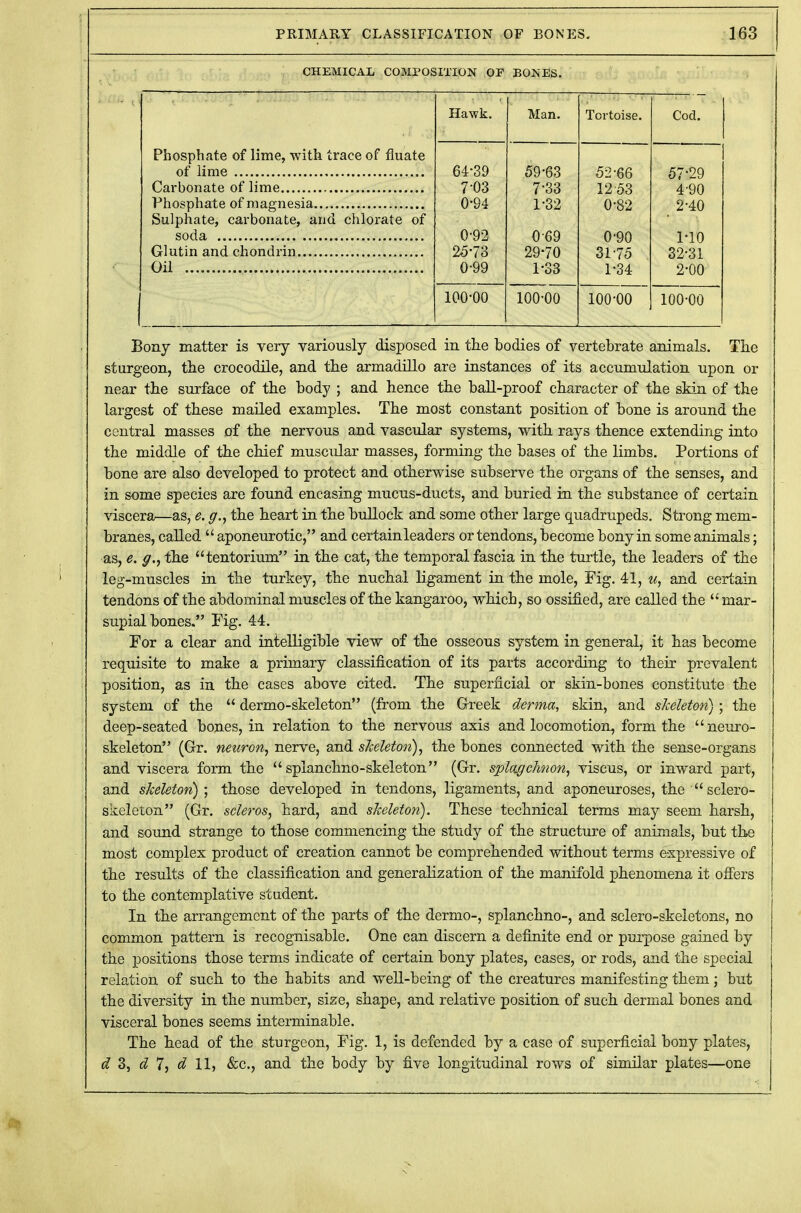 CHEMICAL COMPOSITION OF BONES. Hawk. Man. Tortoise. • Cod. rbospnate of lime, with iraee or rluate 59'63 52-66 57-29 7-03 7-33 12 53 4-90 0-94 1-32 0-82 2-40 Sulphate, carbonate, and chlorate of soda v yu 1 IU 25-73 29-70 31-75 32-31 Oil 0-99 1-33 1-34 2-00 100-00 100-00 100-00 100-00 Bony matter is very variously disposed in the bodies of vertebrate animals. The sturgeon, the crocodile, and the armadillo are instances of its accumulation upon or near the surface of the body ; and hence the ball-proof character of the skin of the largest of these mailed examples. The most constant position of bone is around the central masses of the nervous and vascular systems, with rays thence extending into the middle of the chief muscular masses, forming the bases of the limbs. Portions of bone are also developed to protect and otherwise subserve the organs of the senses, and in some species are found encasing mucus-ducts, and buried in the substance of certain viscera—as, e. g., the heart in the bullock and some other large quadrupeds. Strong mem- branes, called  aponeurotic, and certain leaders or tendons, become bony in some animals; as, e. g., the tentorium in the cat, the temporal fascia in the turtle, the leaders of the leg-muscles in the turkey, the nuchal ligament in the mole, Fig. 41, u, and certain tendons of the abdominal muscles of the kangaroo, which, so ossified, are called the mar- supial bones. Fig. 44. For a clear and intelligible view of the osseous system in general, it has become requisite to make a primary classification of its parts according to their prevalent position, as in the cases above cited. The superficial or skin-bones constitute the system of the  dermo-skeleton (from the Greek derma, skin, and skeleton); the deep-seated bones, in relation to the nervous axis and locomotion, form the neuro- skeleton (Gr. neuron, nerve, and skeleton), the bones connected with the sense-organs and viscera form the  splanchno-skeleton (Gr. splagchnon, viscus, or inward part, and skeleton) ; those developed in tendons, ligaments, and aponeuroses, the sclero- skeleton (Gr. scleros, hard, and skeleton). These technical terms may seem harsh, and sound strange to those commencing the study of the structure of animals, but the most complex product of creation cannot be comprehended without terms expressive of the results of the classification and generalization of the manifold phenomena it offers to the contemplative student. In the arrangement of the parts of the dermo-, splanchno-, and sclero-skeletons, no common pattern is recognisable. One can discern a definite end or purpose gained by the positions those terms indicate of certain bony plates, cases, or rods, and the special relation of such to the habits and well-being of the creatures manifesting them; but the diversity in the number, size, shape, and relative position of such dermal bones and visceral bones seems interminable. The head of the sturgeon, Fig. 1, is defended by a case of superficial bony plates, d 3, d 7, d 11, &c, and the body by five longitudinal rows of similar plates—one