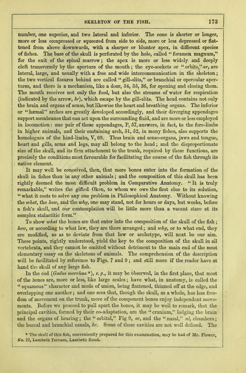 number, one superior, and two lateral and inferior. The cone is shorter or longer, more or less compressed or squeezed from side to side, more or less depressed or flat- tened from above downwards, with a sharper or blunter apex, in different species of fishes. The base of the skull is perforated by the hole, called  foramen magnum, for the exit of the spinal marrow ; the apex is more or less widely and deeply cleft transversely by the aperture of the mouth ; the eye-sockets or  orbits, or, are lateral, large, and usually with a free and wide intercommunication in the skeleton; the two vertical fissures behind are called  gill-slits, or branchial or opercular aper- tures, and there is a mechanism, like a door, 34, 35, 36, for opening and closing them. The mouth receives not only the food, but also the streams of water for respiration (indicated by the arrow, br), which escape by the gill-slits. The head contains not only the brain and organs of sense, but likewise the heart and breathing organs. The inferior or haemal arches are greatly developed accordingly, and their diverging appendages support membranes that can act upon the surrounding fluid, and are more or less employed in locomotion: one pair of these appendages, P, 57, answers, in fact, to the fore-limbs in higher animals, and their sustaining arch, 51, 52, in many fishes, also supports the homologues of the hind-limbs, V, 69. Thus brain and sense-organs, jaws and tongue, heart and gills, arms and legs, may all belong to the head; and the disproportionate size of the skull, and its firm attachment to the trunk, required by these functions, are precisely the conditions most favourable for facilitating the course of the fish through its native element. It may well be conceived, then, that more bones enter into the formation of the skull in fishes than in any other animals ; and the composition of this skull has been rightly deemed the most difficult problem in Comparative Anatomy.  It is truly remarkable, writes the gifted Oken, to whom we owe the first clue to its solution,  what it costs to solve any one problem in Philosophical Anatomy. Without knowing the what, the how, and the why, one may stand, not for hours or days, but weeks, before a fish's skull, and our contemplation will be little more than a vacant stare at its complex stalactitic form. To show ivhat the bones are that enter into the composition of the skull of the fish ; how, or according to what law, they are there arranged; and why, or to what end, they are modified, so as to deviate from that law or archetype, will next be our aim. These points, rightly understood, yield the key to the composition of the skull in all vertebrata, and they cannot be omitted without detriment to the main end of the most elementary essay on the skeletons of animals. The comprehension of the description will be facilitated by reference to Figs. 7 and 9 ; and still more if the reader have at hand the skull of any large fish. In the cod (Gadus morrhua*), e.g., it may be observed, in the first place, that most of the bones are, more or less, like large scales ; have what, in anatomy, is called the  squamous character and mode of union, being flattened, thinned off at the edge, and overlapping one another; and one sees that, though the skull, as a whole, has less free- dom of movement on the trunk, more of the component bones enjoy independent move- ments. Before we proceed to pull apart the bones, it may be well to remark, that the principal cavities, formed by their co-adaptation, are the  cranium, lodging the brain and the organs of hearing; the  orbital, Fig 9, or, and the  nasal, nl, chambers ; the buccal and branchial canals, br. Some of these cavities are not well defined. The * The skull of this fish, conveniently prepared for this examination, may be had of Mr. Flower, No. 22, Lambeth Terrace, Lambeth lload.