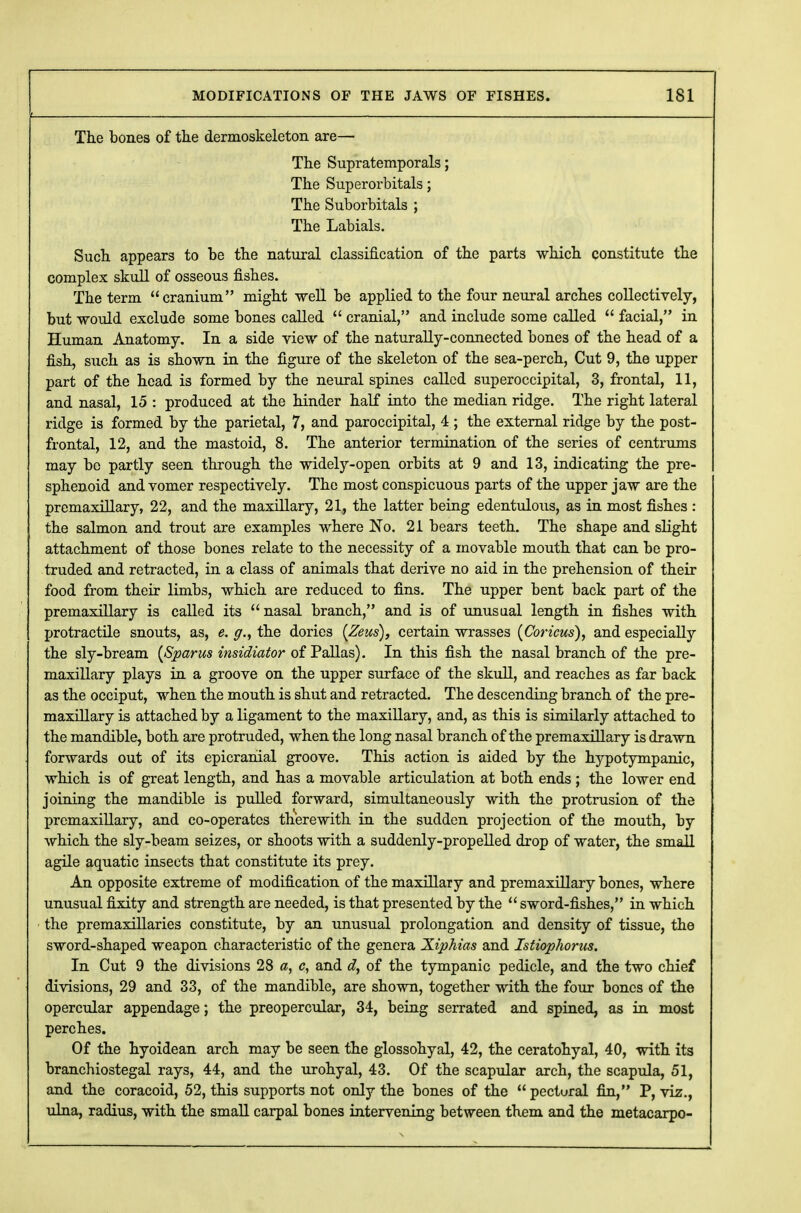 The bones of the dermoskeleton are— The Supratemporals; The Superorbitals; The Suborbitals ; The Labials. Such appears to be the natural classification of the parts which constitute the complex skull of osseous fishes. The term cranium might -well be applied to the four neural arches collectively, but would exclude some bones called  cranial, and include some called  facial, in Human Anatomy. In a side view of the naturally-connected bones of the head of a fish, such as is shown in the figure of the skeleton of the sea-perch, Cut 9, the upper part of the head is formed by the neural spines called superoccipital, 3, frontal, 11, and nasal, 15 : produced at the hinder half into the median ridge. The right lateral ridge is formed by the parietal, 7, and paroccipital, 4 ; the external ridge by the post- frontal, 12, and the mastoid, 8. The anterior termination of the series of centrums may be partly seen through the widely-open orbits at 9 and 13, indicating the pre- sphenoid and vomer respectively. The most conspicuous parts of the upper jaw are the premaxillary, 22, and the maxillary, 21, the latter being edentulous, as in most fishes : the salmon and trout are examples where No. 21 bears teeth. The shape and slight attachment of those bones relate to the necessity of a movable mouth that can be pro- truded and retracted, in a class of animals that derive no aid in the prehension of their food from their limbs, which are reduced to fins. The upper bent back part of the premaxillary is called its  nasal branch, and is of unusual length in fishes with protractile snouts, as, e. g., the dories (Zeus), certain wrasses (Coricus), and especially the sly-bream (Spams insidiator of Pallas). In this fish the nasal branch of the pre- maxillary plays in a groove on the upper surface of the skull, and reaches as far back as the occiput, when the mouth is shut and retracted. The descending branch of the pre- maxillary is attached by a ligament to the maxillary, and, as this is similarly attached to the mandible, both are protruded, when the long nasal branch of the premaxillary is drawn forwards out of its epicranial groove. This action is aided by the hypotympanic, which is of great length, and has a movable articulation at both ends ; the lower end joining the mandible is pulled forward, simultaneously with the protrusion of the premaxillary, and co-operates therewith in the sudden projection of the mouth, by which the sly-beam seizes, or shoots with a suddenly-propelled drop of water, the small agile aquatic insects that constitute its prey. An opposite extreme of modification of the maxillary and premaxillary bones, where unusual fixity and strength are needed, is that presented by the  sword-fishes, in which the premaxillaries constitute, by an unusual prolongation and density of tissue, the sword-shaped weapon characteristic of the genera Xiphias and Istiophorus. In Cut 9 the divisions 28 a, c, and of the tympanic pedicle, and the two chief divisions, 29 and 33, of the mandible, are shown, together with the four bones of the opercular appendage; the preopercular, 34, being serrated and spined, as in most perches. Of the hyoidean arch may be seen the glossohyal, 42, the ceratohyal, 40, with its branchiostegal rays, 44, and the urohyal, 43. Of the scapular arch, the scapula, 51, and the coracoid, 52, this supports not only the bones of the  pectural fin, P, viz., ulna, radius, with the small carpal bones intervening between them and the metacarpo-