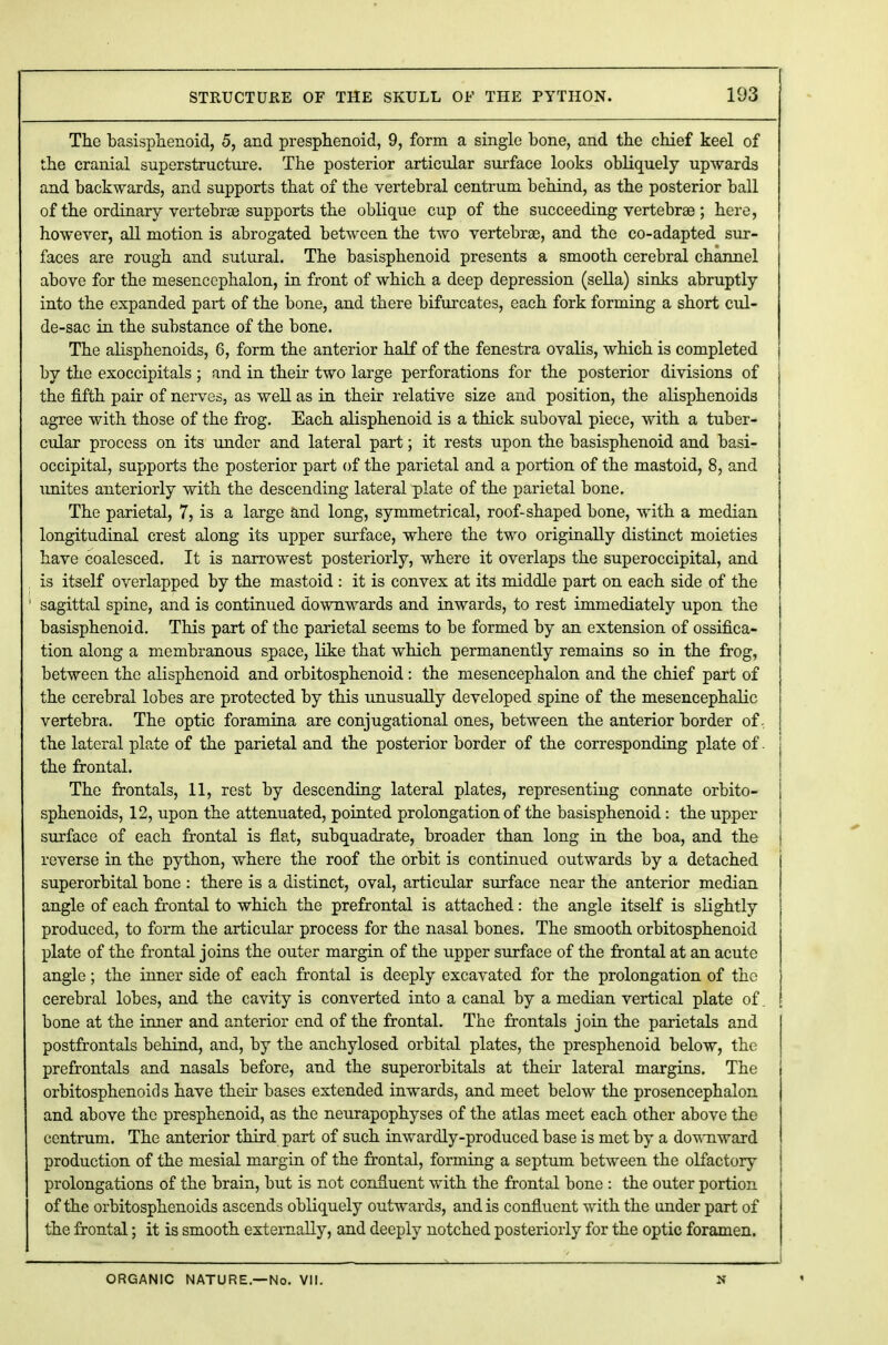 The basisphenoid, 5, and presphenoid, 9, form a single bone, and the chief keel of the cranial superstructure. The posterior articular surface looks obliquely upwards and backwards, and supports that of the vertebral centrum behind, as the posterior ball of the ordinary vertebra? supports the oblique cup of the succeeding vertebrae ; here, however, all motion is abrogated between the two vertebrae, and the co-adapted sur- faces are rough and sutural. The basisphenoid presents a smooth cerebral channel above for the mesencephalon, in front of which a deep depression (sella) sinks abruptly into the expanded part of the bone, and there bifurcates, each fork forming a short cul- de-sac in the substance of the bone. The alisphenoids, 6, form the anterior half of the fenestra ovalis, which is completed by the exoccipitals ; and in their two large perforations for the posterior divisions of the fifth pair of nerves, as well as in their relative size and position, the alisphenoids agree with those of the frog. Each alisphenoid is a thick suboval piece, with a tuber- cular process on its under and lateral part; it rests upon the basisphenoid and basi- occipital, supports the posterior part of the parietal and a portion of the mastoid, 8, and unites anteriorly with the descending lateral plate of the parietal bone. The parietal, 7, is a large and long, symmetrical, roof-shaped bone, with a median longitudinal crest along its upper surface, where the two originally distinct moieties have coalesced. It is narrowest posteriorly, where it overlaps the superoccipital, and is itself overlapped by the mastoid : it is convex at its middle part on each side of the sagittal spine, and is continued downwards and inwards, to rest immediately upon the basisphenoid. This part of the parietal seems to be formed by an extension of ossifica- tion along a membranous space, like that which permanently remains so in the frog, between the alisphenoid and orbitosphenoid: the mesencephalon and the chief part of the cerebral lobes are protected by this unusually developed spine of the mesencephalic vertebra. The optic foramina are conjugational ones, between the anterior border of, the lateral plate of the parietal and the posterior border of the corresponding plate of. the frontal. The frontals, 11, rest by descending lateral plates, representing connate orbito- sphenoids, 12, upon the attenuated, pointed prolongation of the basisphenoid: the upper surface of each frontal is flat, subquadrate, broader than long in the boa, and the reverse in the python, where the roof the orbit is continued outwards by a detached superorbital bone : there is a distinct, oval, articular surface near the anterior median angle of each frontal to which the prefrontal is attached: the angle itself is slightly produced, to form the articular process for the nasal bones. The smooth orbitosphenoid plate of the frontal joins the outer margin of the upper surface of the frontal at an acute angle; the inner side of each frontal is deeply excavated for the prolongation of the cerebral lobes, and the cavity is converted into a canal by a median vertical plate of. bone at the inner and anterior end of the frontal. The frontals join the parietals and postfrontals behind, and, by the anchylosed orbital plates, the presphenoid below, the prefrontals and nasals before, and the superorbitals at their lateral margins. The orbitosphenoid s have their bases extended inwards, and meet below the prosencephalon and above the presphenoid, as the neurapophyses of the atlas meet each other above the centrum. The anterior third part of such inwardly-produced base is met by a downward production of the mesial margin of the frontal, forming a septum between the olfactory prolongations of the brain, but is not confluent with the frontal bone : the outer portion of the orbitosphenoids ascends obliquely outwards, and is confluent with the under part of the frontal; it is smooth externally, and deeply notched posteriorly for the optic foramen. ORGANIC NATURE.—No. VII. N
