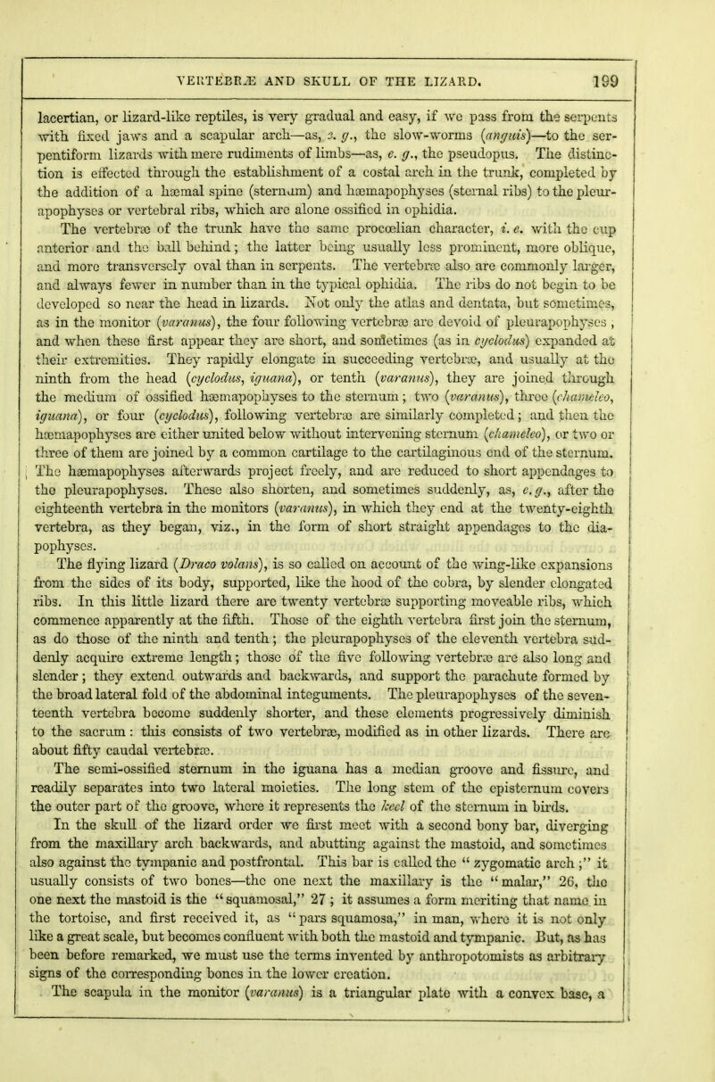 VEUTEBRJE AND SKULL OF THE LIZARD. 1S9 lacertian, or lizard-like reptiles, is very gradual and easy, if we pass from the serpents with fixed jaws and a scapular arch—as, s. g., the slow-worms (anguis)—to the ser- pentiform lizards with mere rudiments of limbs—as, e. g., the pseudopus. The distinc- tion is effected through the establishment of a costal arch in the trunk, completed by the addition of a haemal spine (sternum) and hosmapophyses (sternal ribs) to the pleur- apophyses or vertebral ribs, which are alone ossified in ophidia. The vertebra) of the trunk have the same proccelian character, i. e. with the cup anterior and the ball behind; the latter being usually less prominent, more oblique, and more transversely oval than in serpents. The vertebra; also are commonly larger, and always fewer in number than in the typical ophidia. The ribs do not begin to be developed so near the head in lizards. Not only the atlas and dentata, but sometimes, as in the monitor (varanus), the four following vertebra) are devoid of pleurapophyses , and when these first appear they are short, and sonletimes (as in cyclodus) expanded at j their extremities. They rapidly elongate in succeeding vertebra?, and usually at the ninth from the head (cyclodus, iguana), or tenth (varanus), they are joined though the medium of ossified hsemapoplryses to the sternum; two (varanus), three (chamdeo, iguana), or four (cyclodus), following vertebra) are similarly completed; and then the haemapophyses are either united below without intervening sternum (c/iamelco), or two or three of them are joined by a common cartilage to the cartilaginous end of the sternum. The haemapophyses afterwards project freely, and are reduced to short appendages to the pleurapophyses. These also shorten, and sometimes suddenly, as, c. g., after the eighteenth vertebra in the monitors (varanus), in which they end at the twenty-eighth vertebra, as they began, viz., in the form of short straight appendages to the dia- pophyses. The flying lizard (Draco volans), is so called on account of the wing-like expansions from the sides of its body, supported, like the hood of the cobra, by slender elongated ribs. In this little lizard there are twenty vertebra) supporting moveable ribs, which commence apparently at the fifth. Those of the eighth vertebra first join the sternum, as do those of the ninth and tenth; the pleurapophyses of the eleventh vertebra sud- denly acquire extreme length; those of the five following vertebra) are also long and slender; they extend outwards and backwards, and support the parachute formed by the broad lateral fold of the abdominal integuments. The pleurapophyses of the seven- teenth vertebra become suddenly shorter, and these elements progressively diminish to the sacrum: this consists of two vertebrae, modified as in other lizards. There arc about fifty caudal vertebrae. The semi-ossified sternum in the iguana has a median groove and fissure, and readily separates into two lateral moieties. The long stem of the episternum covers the outer part of the groove, where it represents the keel of the sternum in birds. In the skull of the lizard order we first meet with a second bony bar, diverging from the maxillary arch backwards, and abutting against the mastoid, and sometimes also against the tympanic and postfrontal. This bar is called the  zygomatic arch ; it usually consists of two bones—the one next the maxillary is the malar, 26, the one next the mastoid is the squamosal, 27 ; it assumes a form meriting that name in the tortoise, and first received it, as pars squamosa, in man, where it is not only like a great scale, but becomes confluent with both the mastoid and tympanic. But, as has been before remarked, we must use the terms invented by anthropotomists as arbitrary signs of the corresponding bones in the lower creation. The scapula in the monitor (varanus) is a triangular plate with a convex base, a