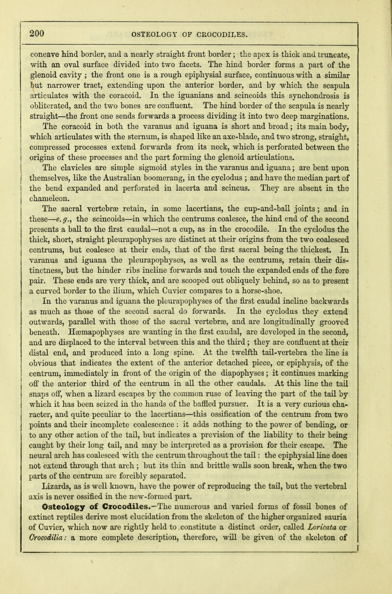 concave hind border, and a nearly straight front border; the apex is thick and truncate, with an oval surface divided into two facets. The hind border forms a part of the glenoid cavity ; the front one is a rough epiphysial surface, continuous with a similar but narrower tract, extending upon the anterior border, and by which the scapula articulates with the coracoid. In the iguanians and scincoids this synchondrosis is obliterated, and the two bones are confluent. The hind border of the scapula is nearly straight—the front one sends forwards a process dividing it into two deep marginations. The coracoid in both the varanus and iguana is short and broad; its main body, which articulates with the sternum, is shaped like an axe-blade, and two strong, straight, compressed processes extend forwards from its neck, which is perforated between the origins of these processes and the part forming the glenoid articulations. The clavicles are simple sigmoid styles in the varanus and iguana; are bent upon themselves, like the Australian boomerang, in the cyclodus ; and have the median part of the bend expanded and perforated in lacerta and scincus. They are absent in the chameleon. The sacral vertebrae retain, in some lacertians, the cup-and-ball joints ; and in these—e.g., the scincoids—in which the centrums coalesce, the hind end of the second presents a ball to the first caudal—not a cup, as in the crocodile. In the cyclodus the thick, short, straight pleurapophyses are distinct at their origins from the two coalesced centrums, but coalesce at their ends, that of the first sacral being the thickest. In varanus and iguana the pleurapophyses, as well as the centrums, retain their dis- tinctness, but the hinder ribs incline forwards and touch the expanded ends of the fore pair. These ends are very thick, and are scooped out obliquely behind, so as to present a curved border to the ilium, which Cuvier compares to a horse-shoe. In the varanus and iguana the pleurapophyses of the first caudal incline backwards as much as those of the second sacral do forwards. In the cyclodus they extend outwards, parallel with those of the sacral vertebrse, and are longitudinally grooved beneath. Hsemapophyses are wanting in the first caudal, are developed in the second, and are displaced to the interval between this and the third; they are confluent at their distal end, and produced into a long spine. At the twelfth tail-vertebra the line is obvious that indicates the extent of the anterior detached piece, or epiphysis, of the centrum, immediately in front of the origin of the diapophyses; it continues marking off the anterior third of the centrum in all the other caudals. At this line the tail snaps off, when a lizard escapes by the common ruse of leaving the part of the tail by which it has been seized in the hands of the baffled pursuer. It is a very curious cha- racter, and quite peculiar to the lacertians—this ossification of the centrum from two points and their incomplete coalescence : it adds nothing to the power of bending, or to any other action of the tail, but indicates a prevision of the liability to their being caught by their long tail, and may be interpreted as a provision for their escape. The neural arch has coalesced with the centrum throughout the tail: the epiphysial line does not extend through that arch ; but its thin and brittle walls soon break, when the two parts of the centrum are forcibly separated. Lizards, as is well known, have the power of reproducing the tail, but the vertebral axis is never ossified in the new-formed part. Osteology of Crocodiles.—The numerous and varied forms of fossil bones of extinct reptiles derive most elucidation from the skeleton of the higher organized sauria of Cuvier, which now are rightly held to constitute a distinct order, called Loricata or Grocodilia: a more complete description, therefore, will be given of the skeleton of